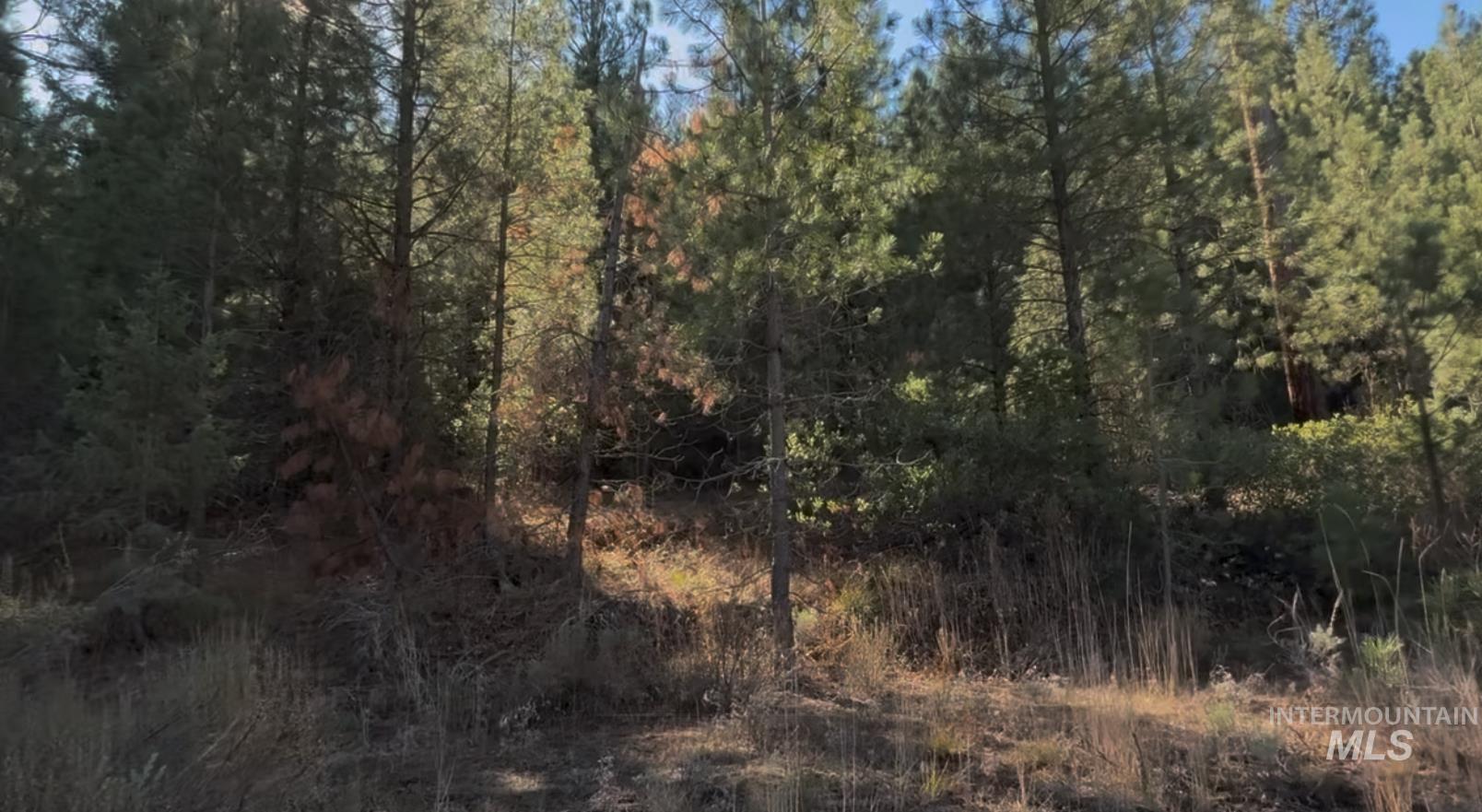 Lot 23 Trail Creek Ct, Placerville, Idaho 83631, Land For Sale, Price $175,000, 98930217