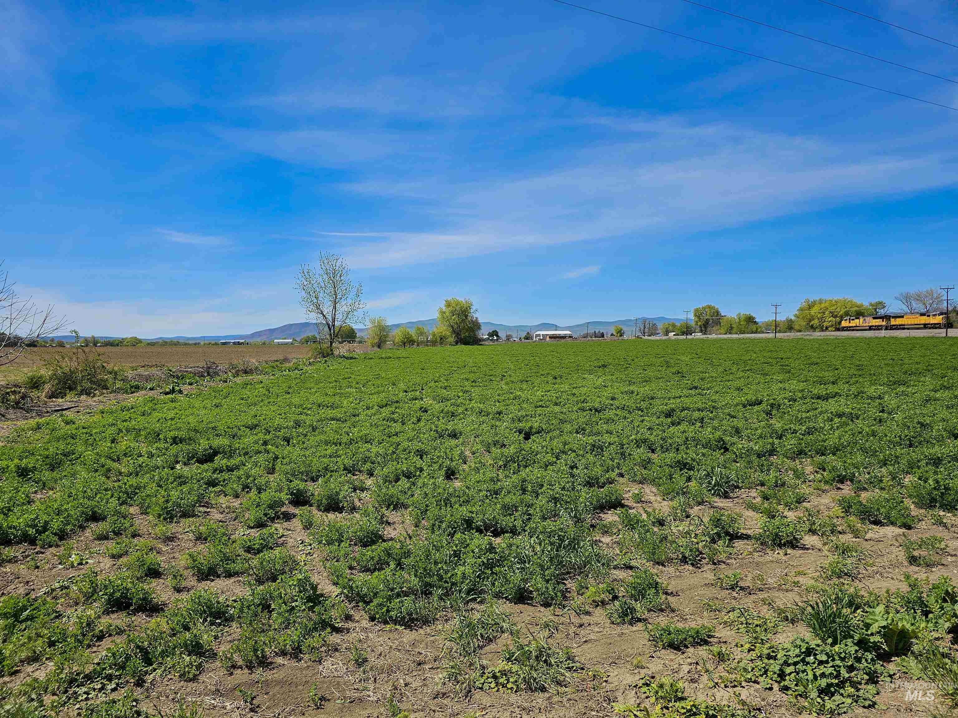 1199 County Rd 70, Weiser, Idaho 83672, 3 Bedrooms, 2 Bathrooms, Residential For Sale, Price $1,100,000,MLS 98930291