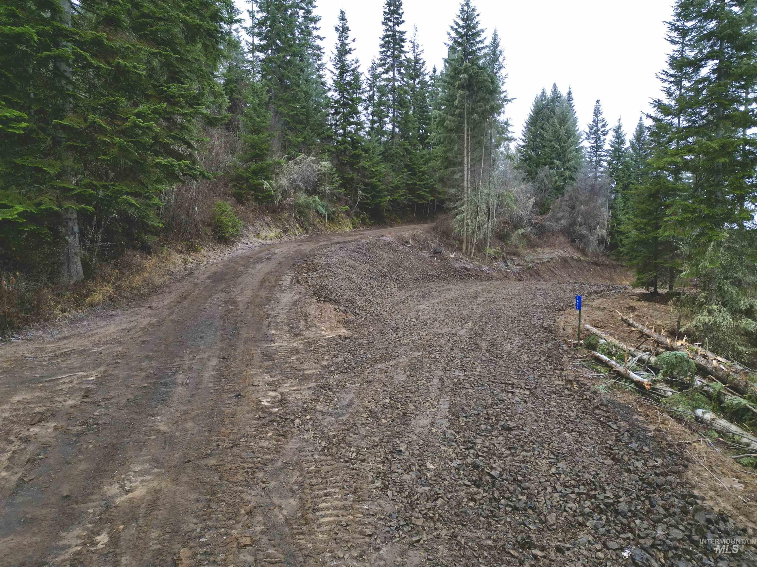 1684 Tranquil Lane, Orofino, Idaho 83544, Land For Sale, Price $162,500,MLS 98930572