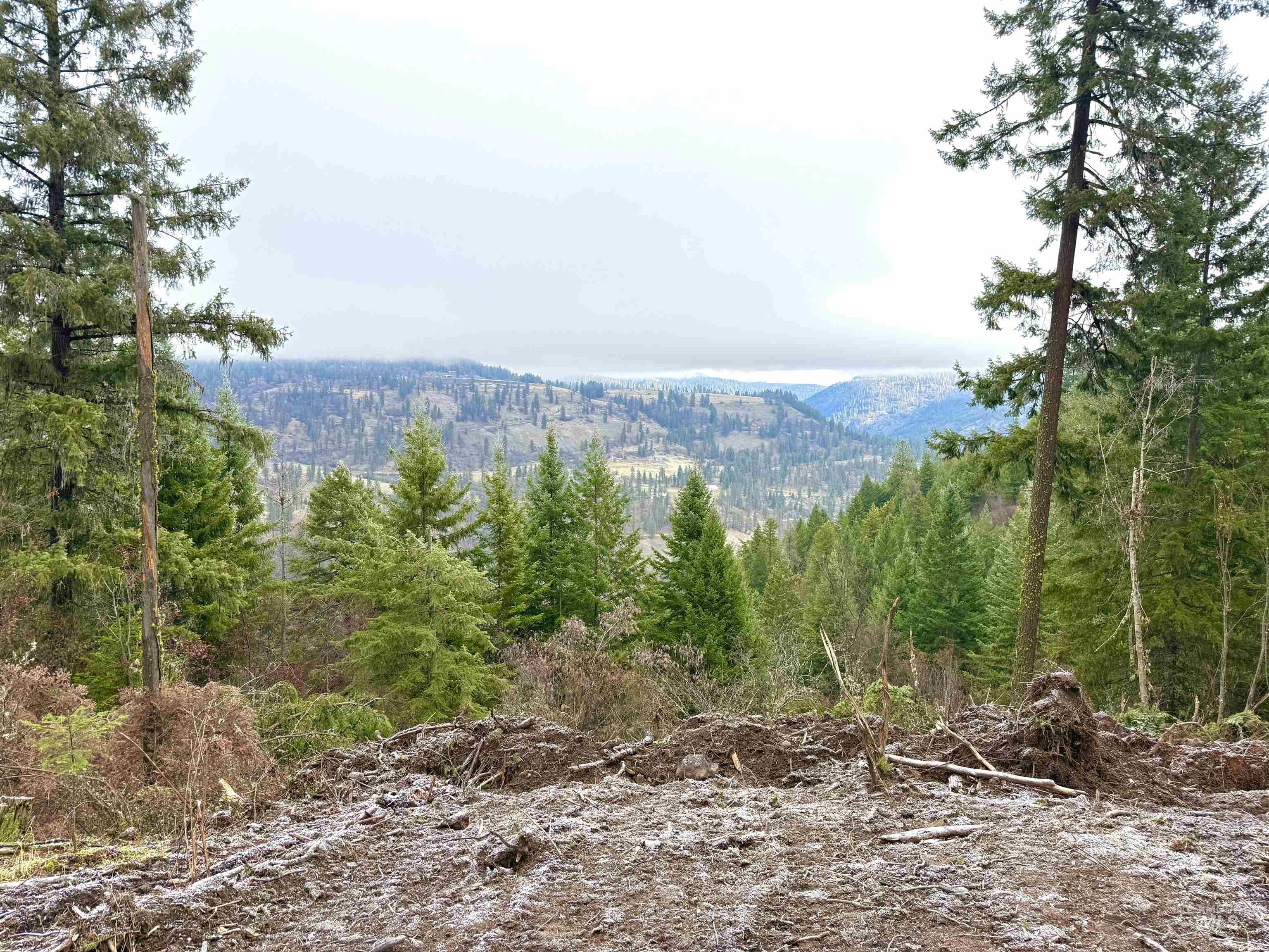 1684 Tranquil Lane, Orofino, Idaho 83544, Land For Sale, Price $162,500,MLS 98930572