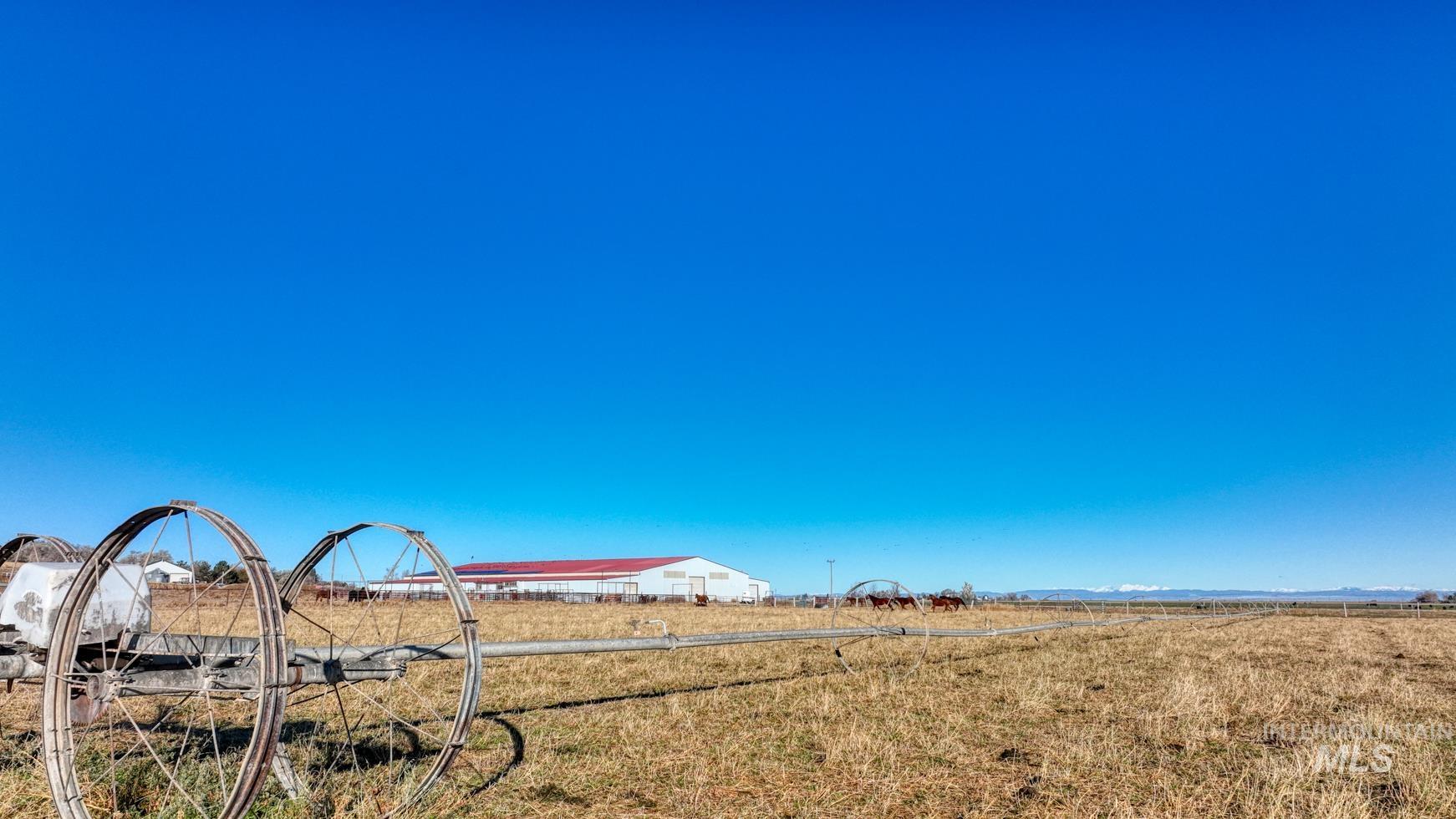 1731 E 3900 N, Buhl, Idaho 83316, Farm & Ranch For Sale, Price $1,999,000, 98930609