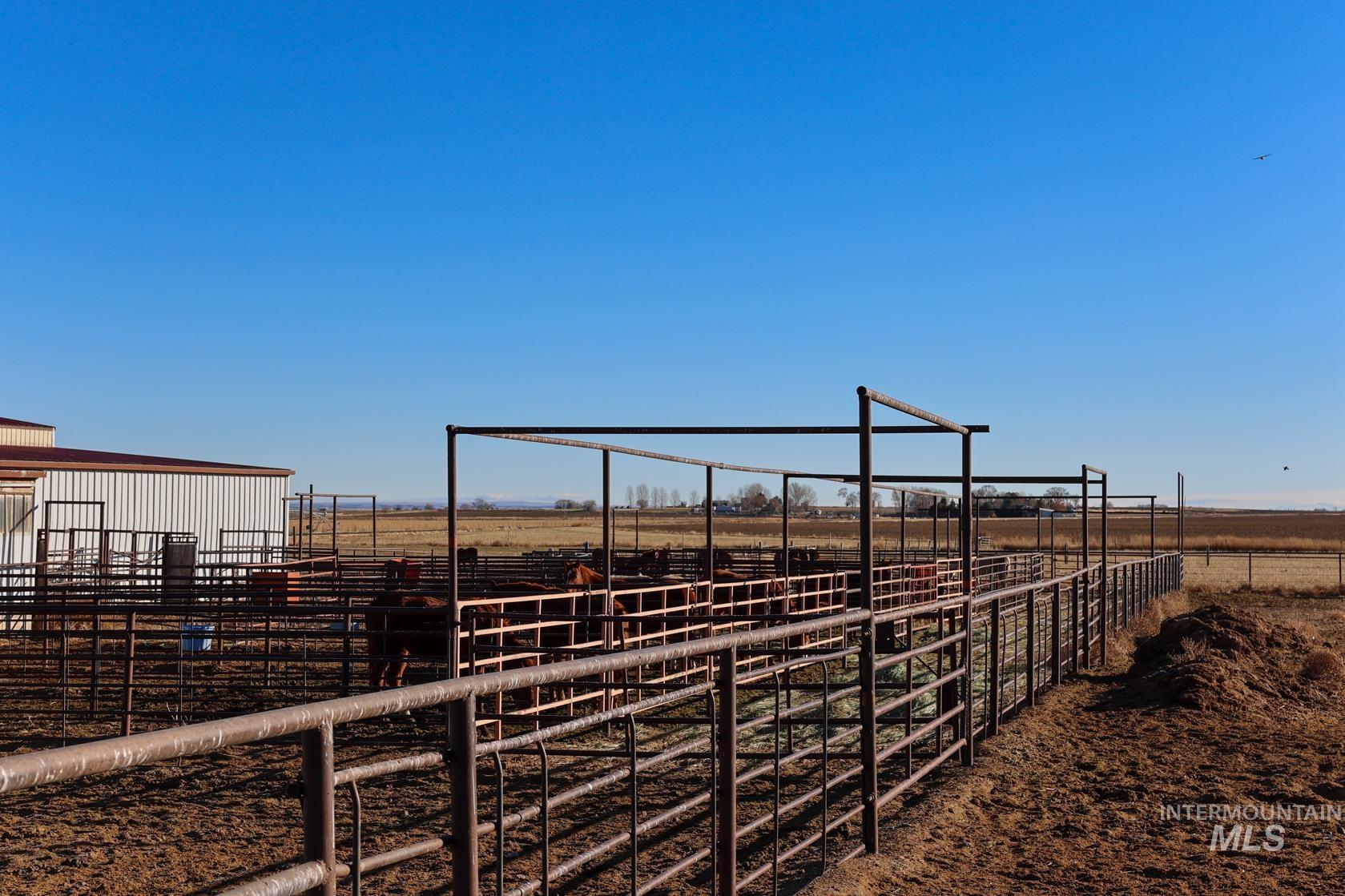 1731 E 3900 N, Buhl, Idaho 83316, Farm & Ranch For Sale, Price $1,999,000, 98930609