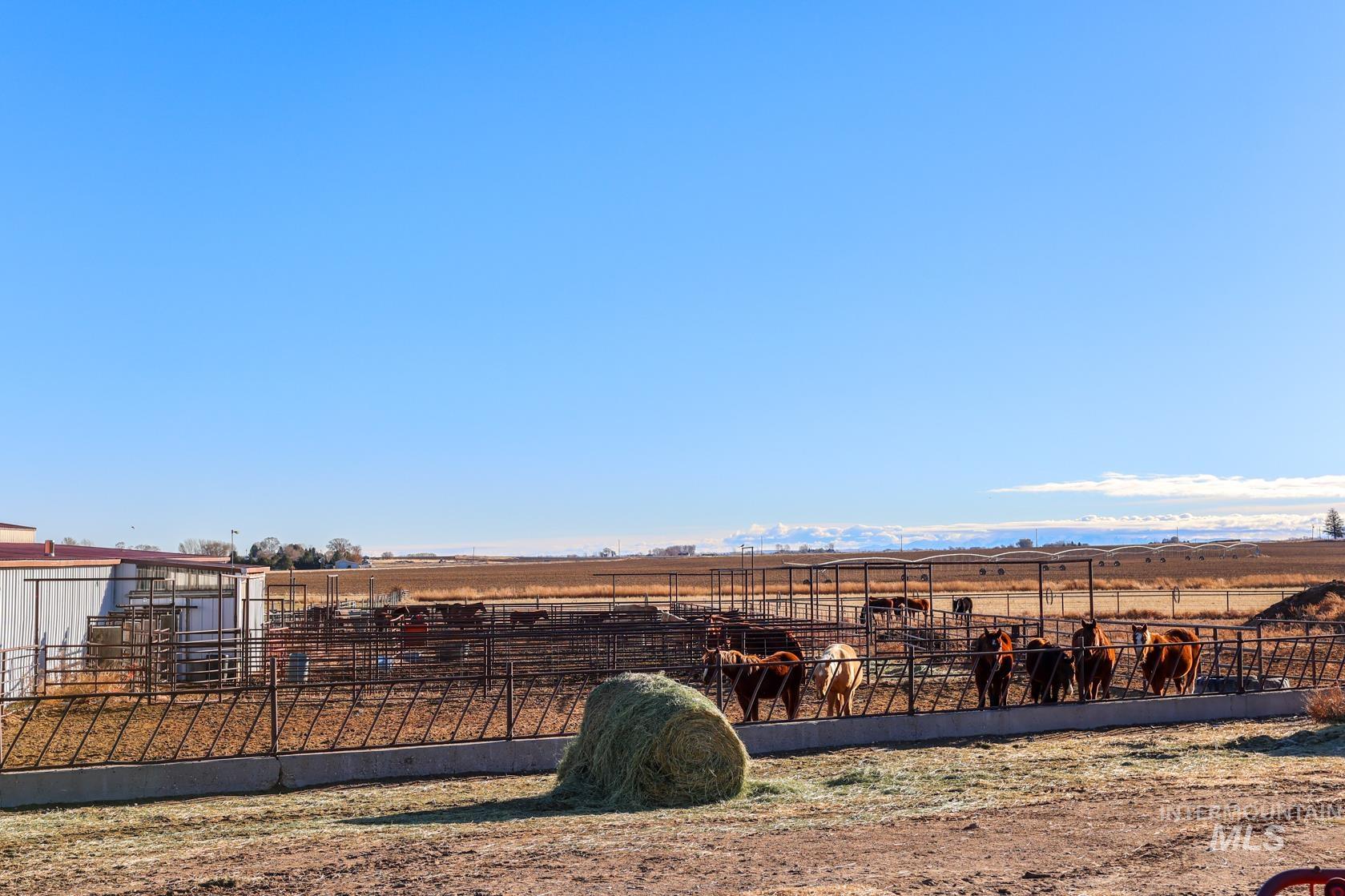 1731 E 3900 N, Buhl, Idaho 83316, Farm & Ranch For Sale, Price $1,999,000, 98930609