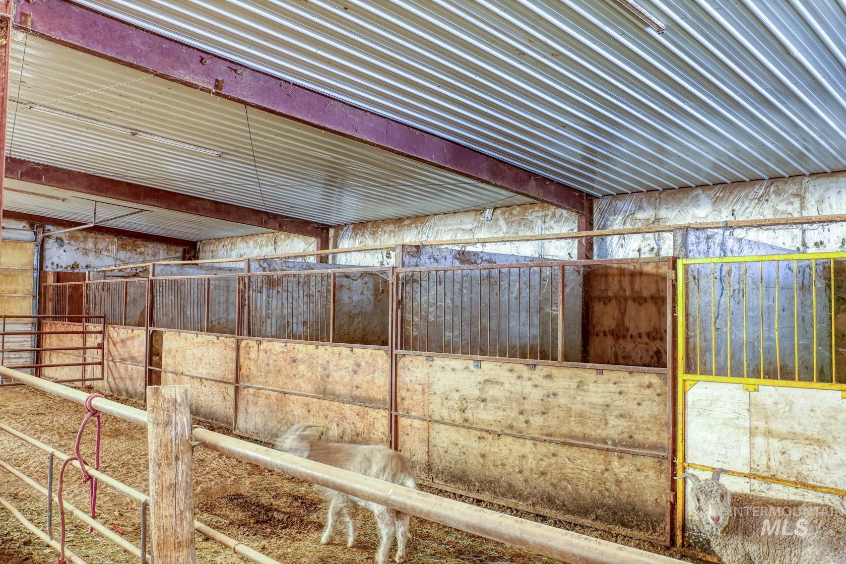 1731 E 3900 N, Buhl, Idaho 83316, Farm & Ranch For Sale, Price $1,999,000, 98930609