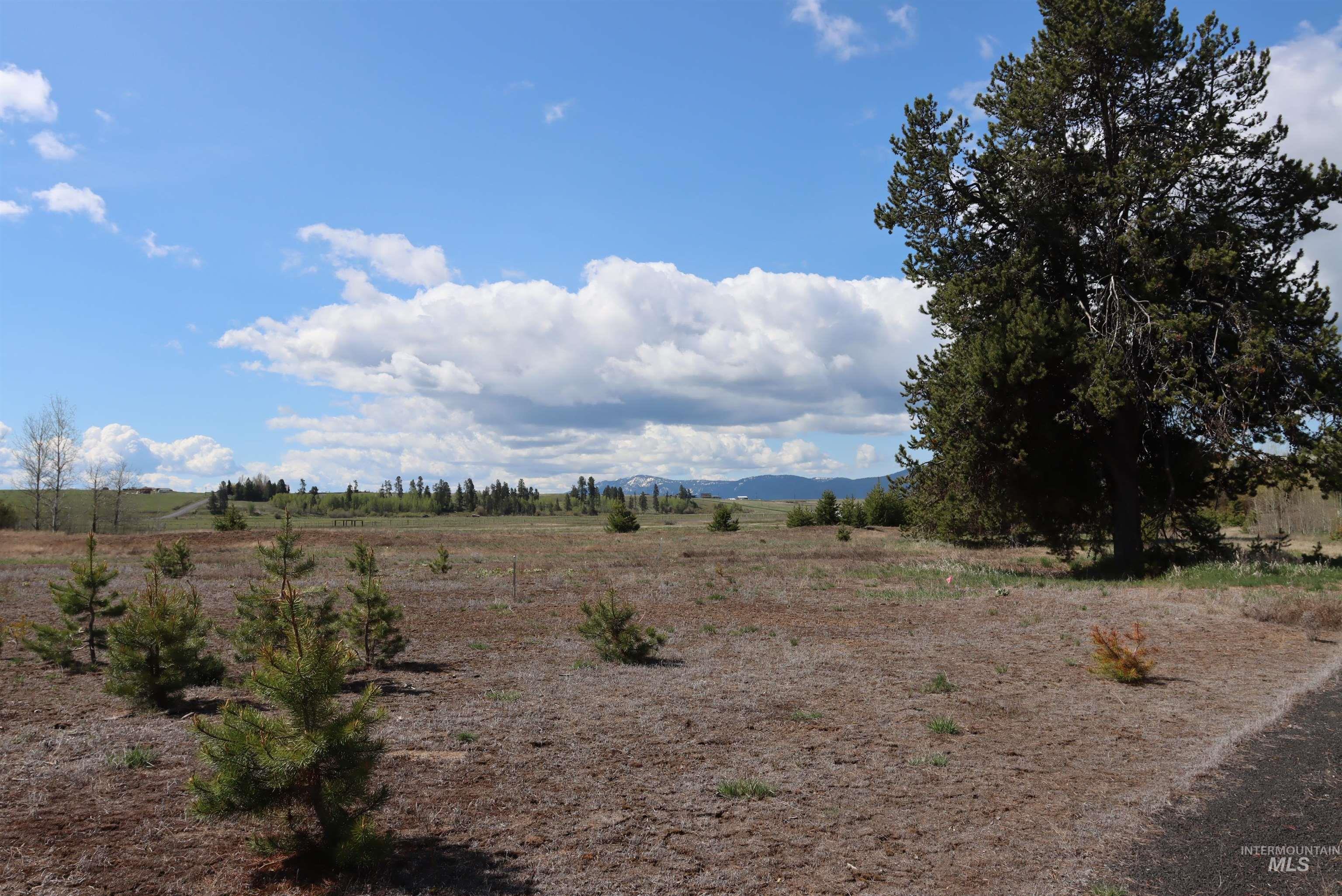 287 Rawhide Loop, McCall, Idaho 83638, Land For Sale, Price $420,000,MLS 98930859