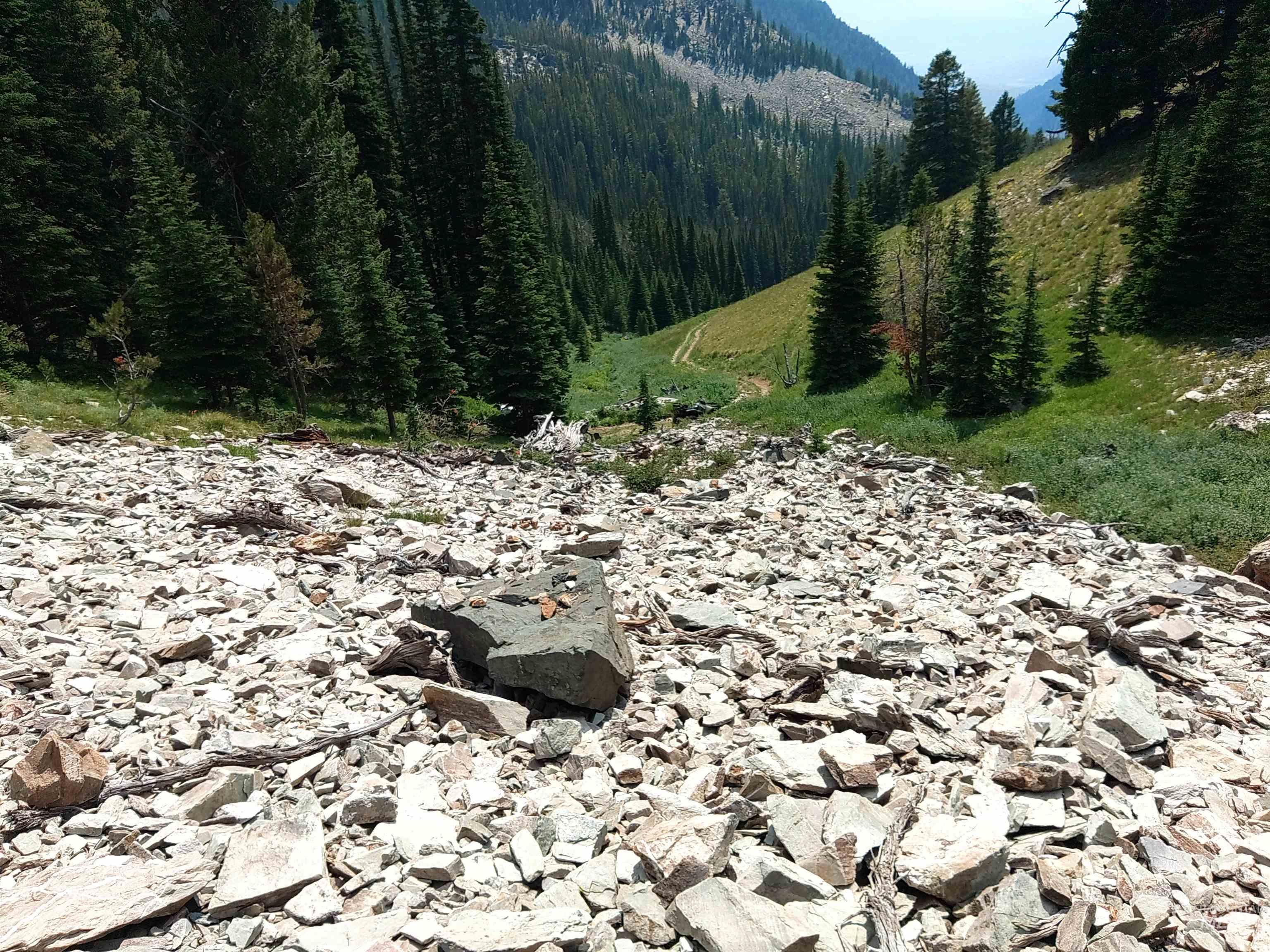 NKA Sundog Mines, Salmon, Idaho 83467, Land For Sale, Price $340,000, 98930860