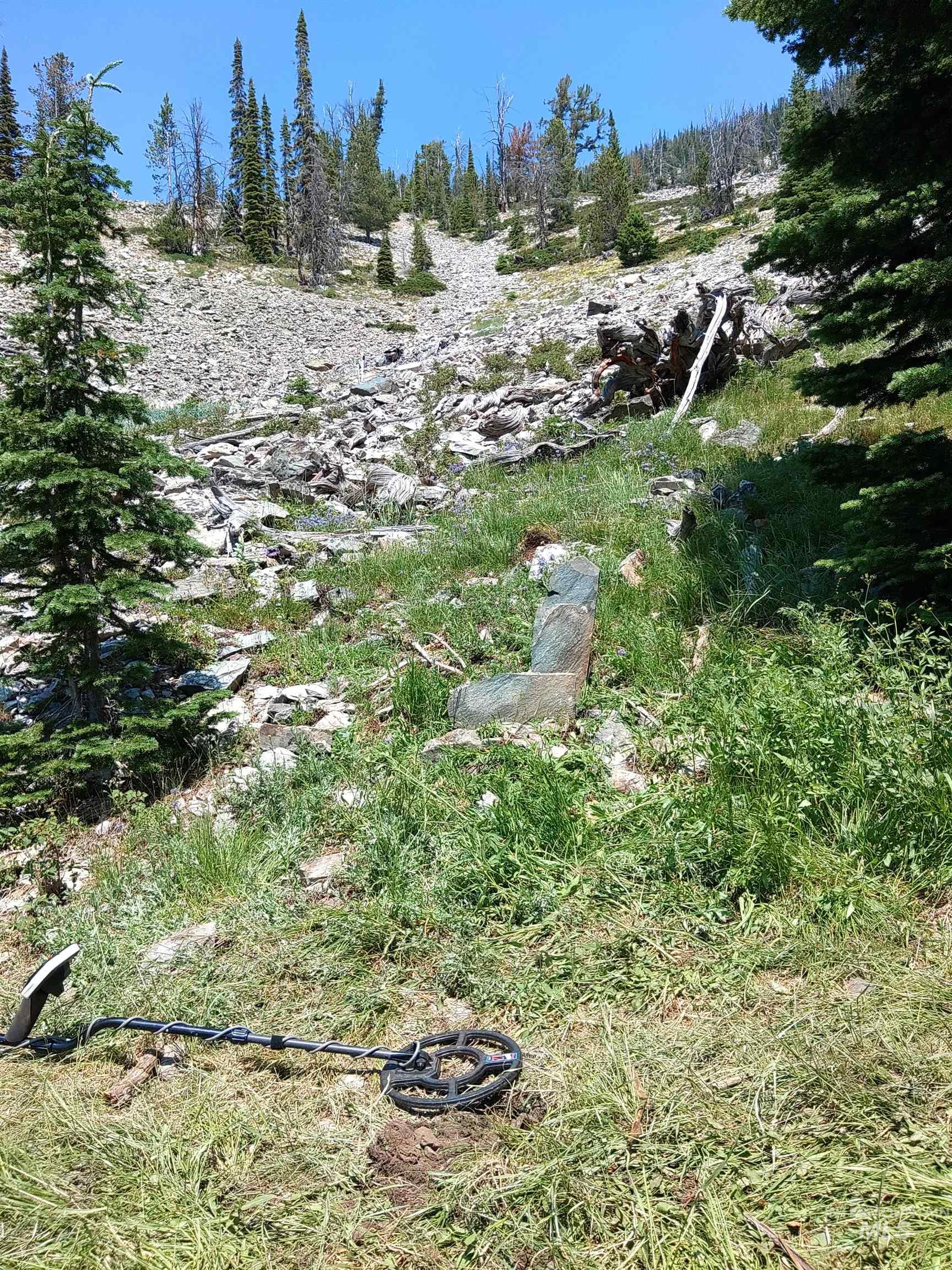 NKA Sundog Mines, Salmon, Idaho 83467, Land For Sale, Price $340,000, 98930860