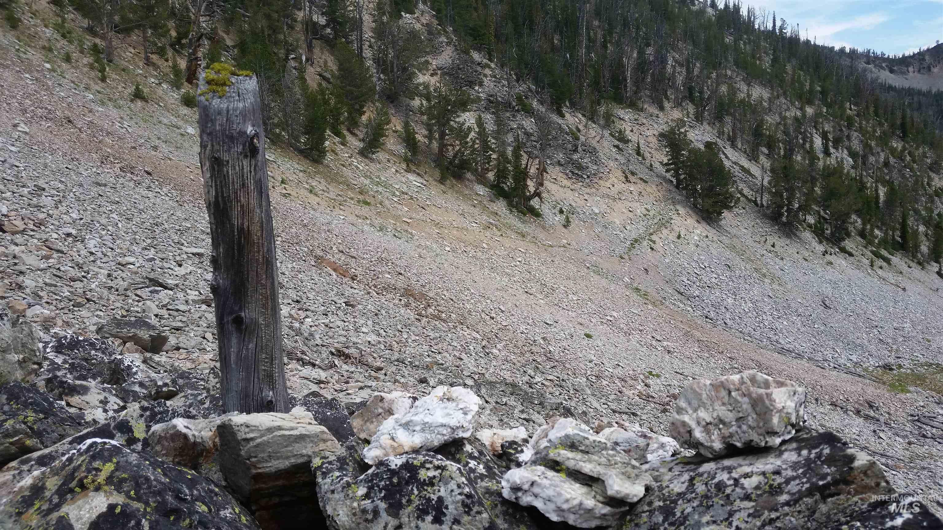 NKA Sundog Mines, Salmon, Idaho 83467, Land For Sale, Price $340,000, 98930860