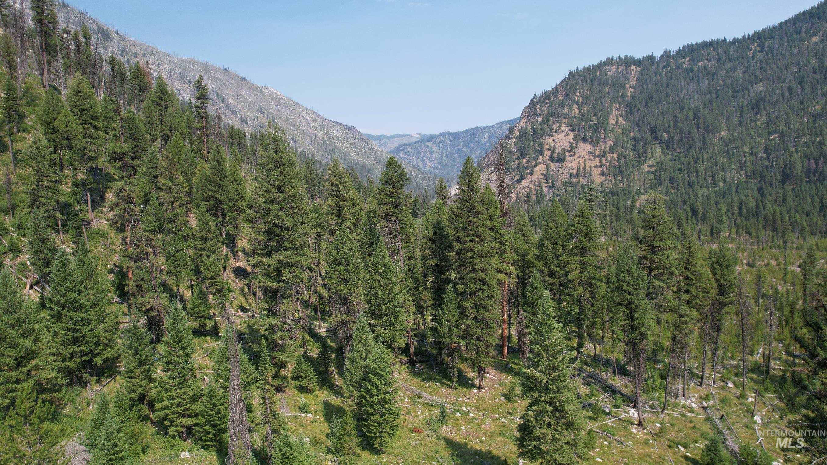 TBD Johnson Creek Road, Yellow Pine, Idaho 83677, Land For Sale, Price $749,000, 98930894