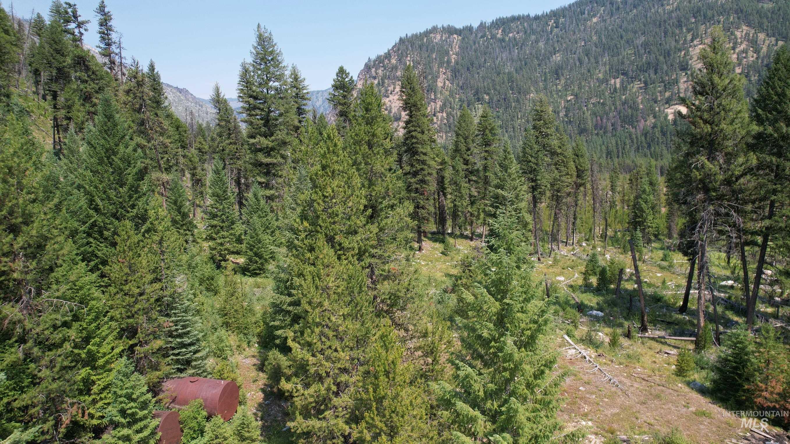 TBD Johnson Creek Road, Yellow Pine, Idaho 83677, Land For Sale, Price $749,000,MLS 98930894