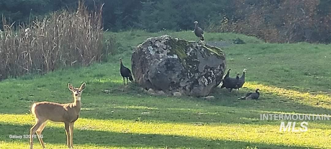 112 Three Forks Road, Kamiah, Idaho 83536, 3 Bedrooms, 3 Bathrooms, Residential For Sale, Price $995,000, 98931001