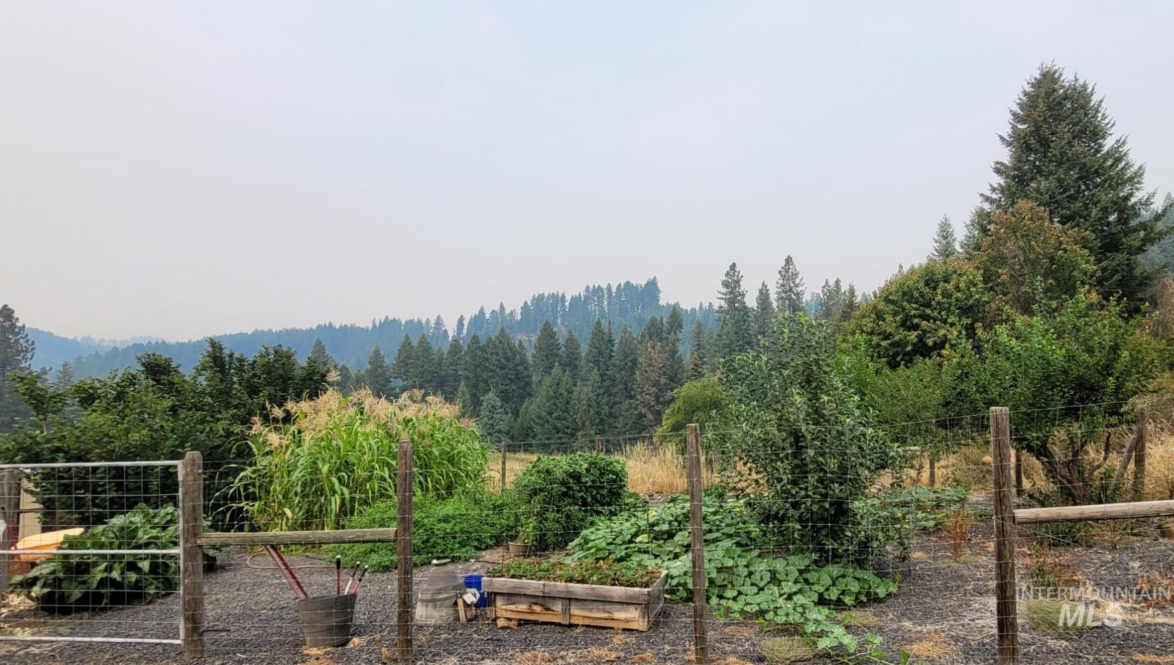 View of yard featuring a garden and a wooded view