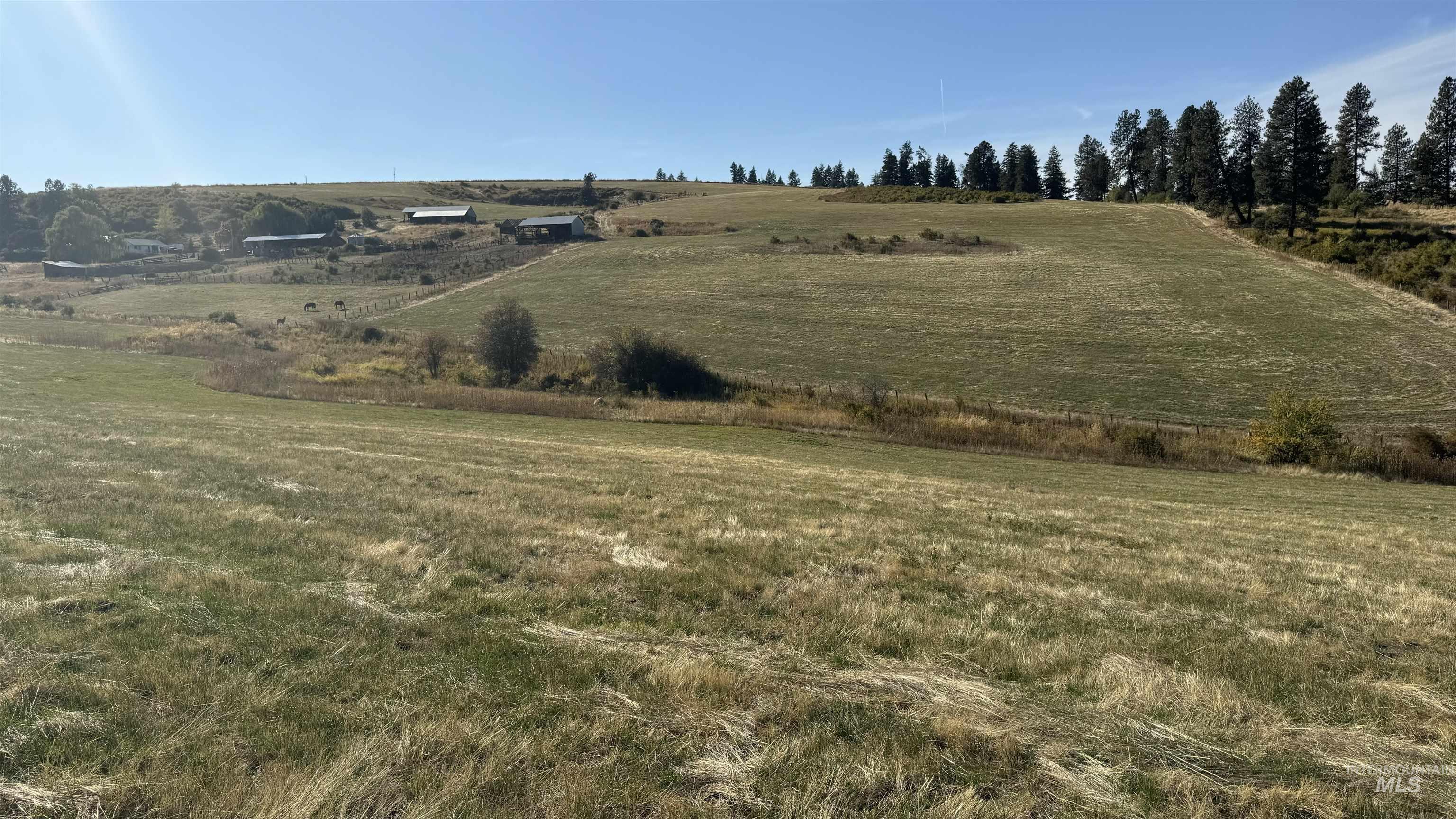 TBD Highway 13 Parcel 2, Grangeville, Idaho 83530, Land For Sale, Price $209,000,MLS 98931513