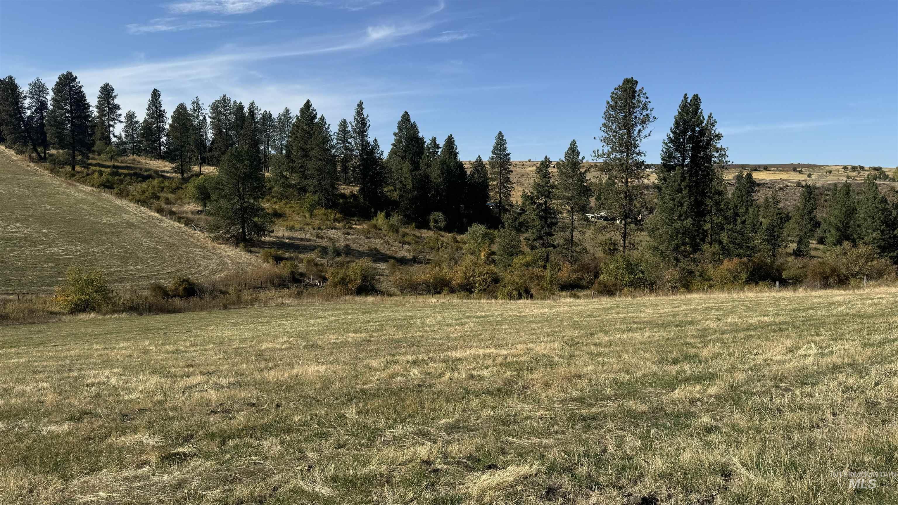 TBD Highway 13 Parcel 2, Grangeville, Idaho 83530, Land For Sale, Price $209,000,MLS 98931513