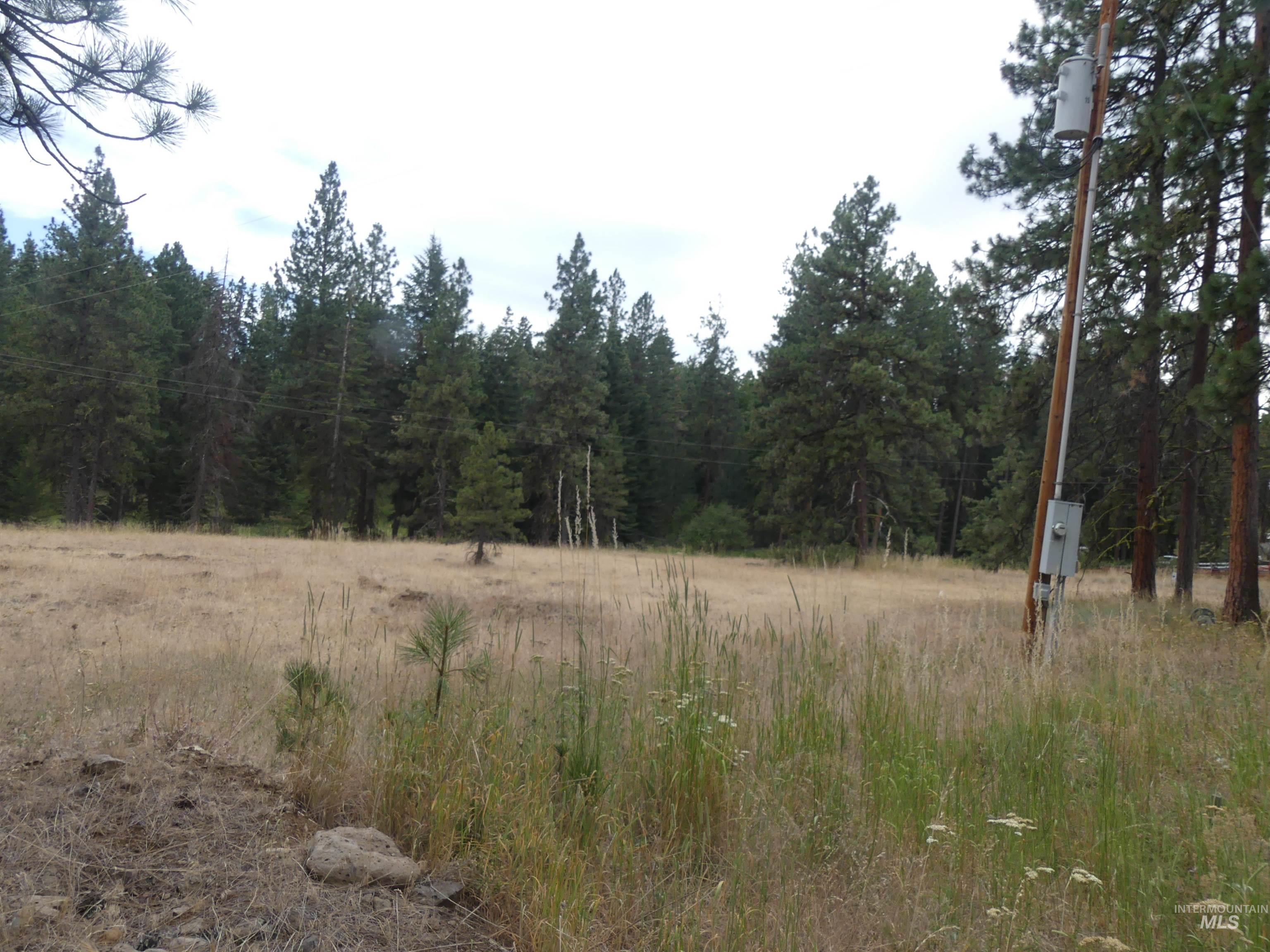 309 Wildrose Ln, Anatone, Washington 99401, 1 Bedroom, 1 Bathroom, Residential For Sale, Price $140,000, 98931570