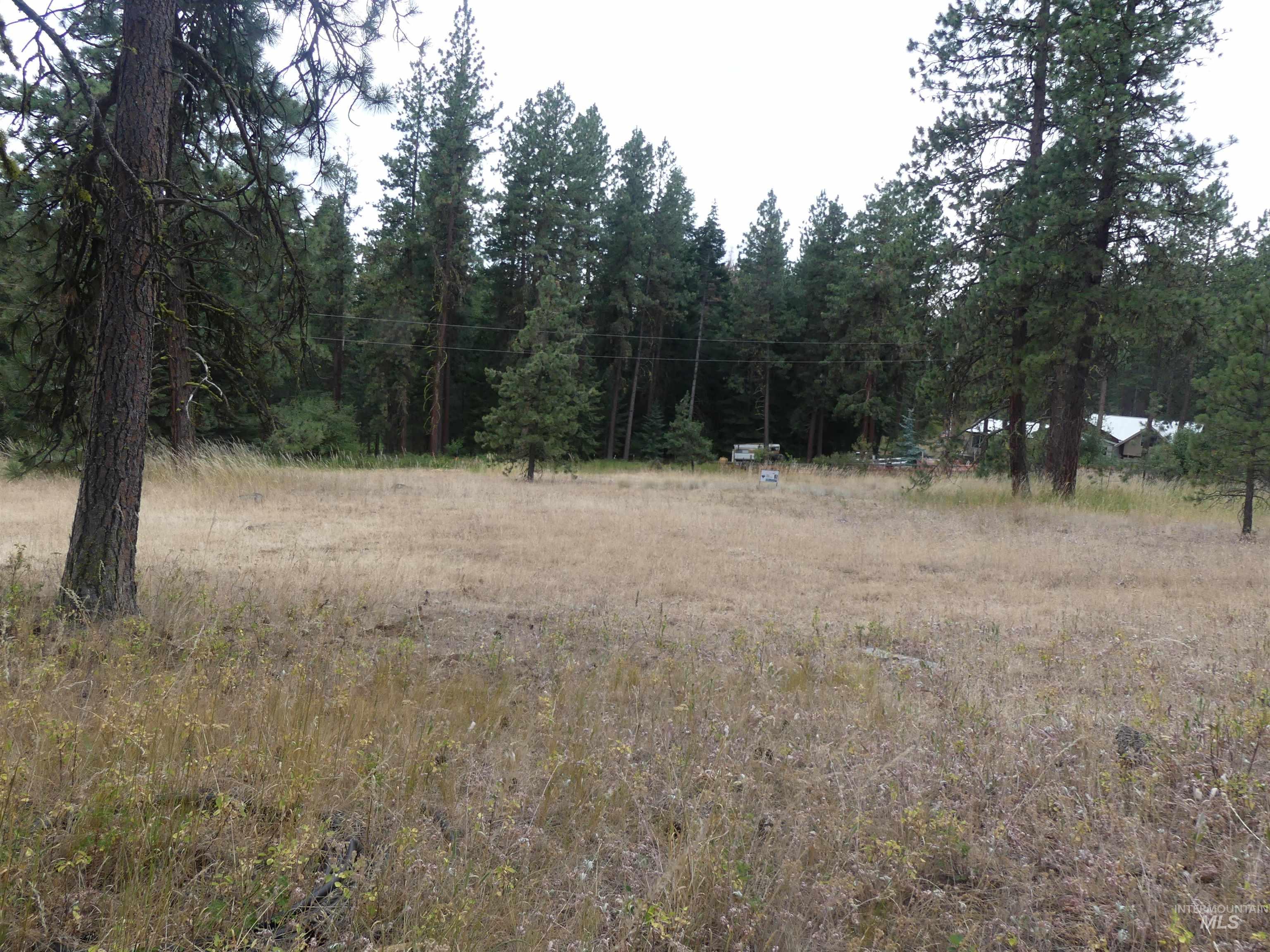 309 Wildrose Ln, Anatone, Washington 99401, 1 Bedroom, 1 Bathroom, Residential For Sale, Price $140,000, 98931570