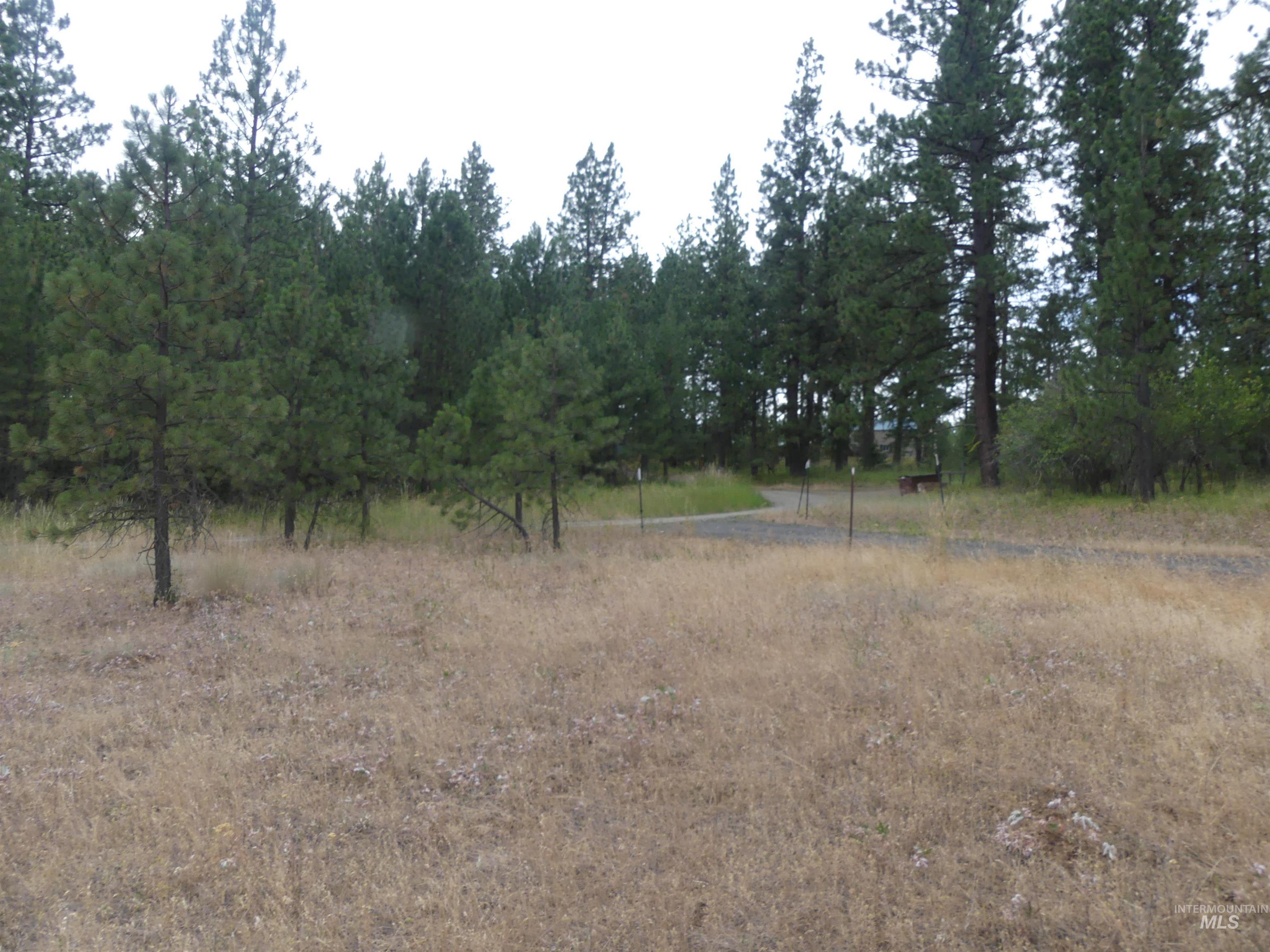 309 Wildrose Ln, Anatone, Washington 99401, 1 Bedroom, 1 Bathroom, Residential For Sale, Price $140,000, 98931570