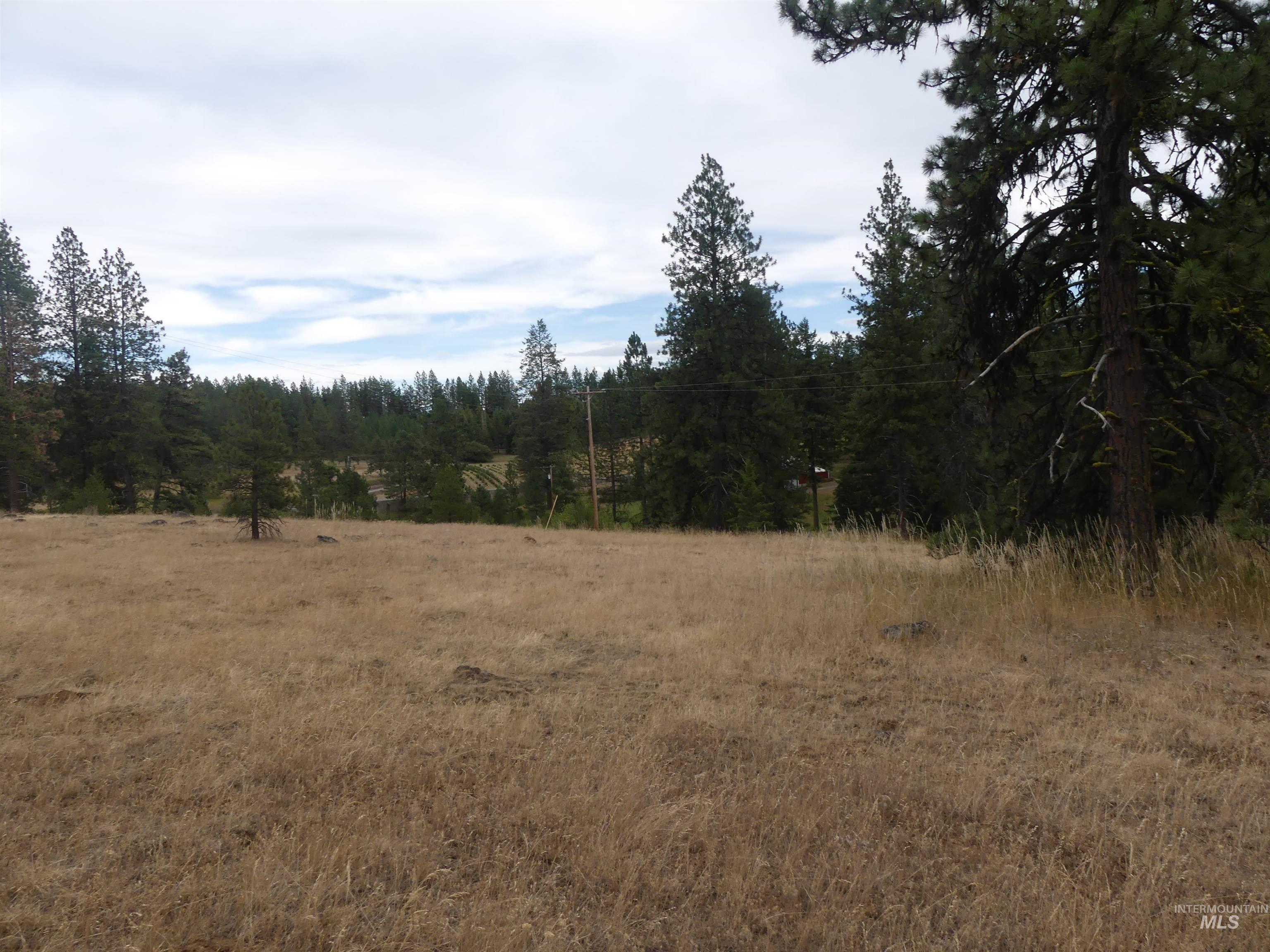 309 Wildrose Ln, Anatone, Washington 99401, 1 Bedroom, 1 Bathroom, Residential For Sale, Price $140,000, 98931570