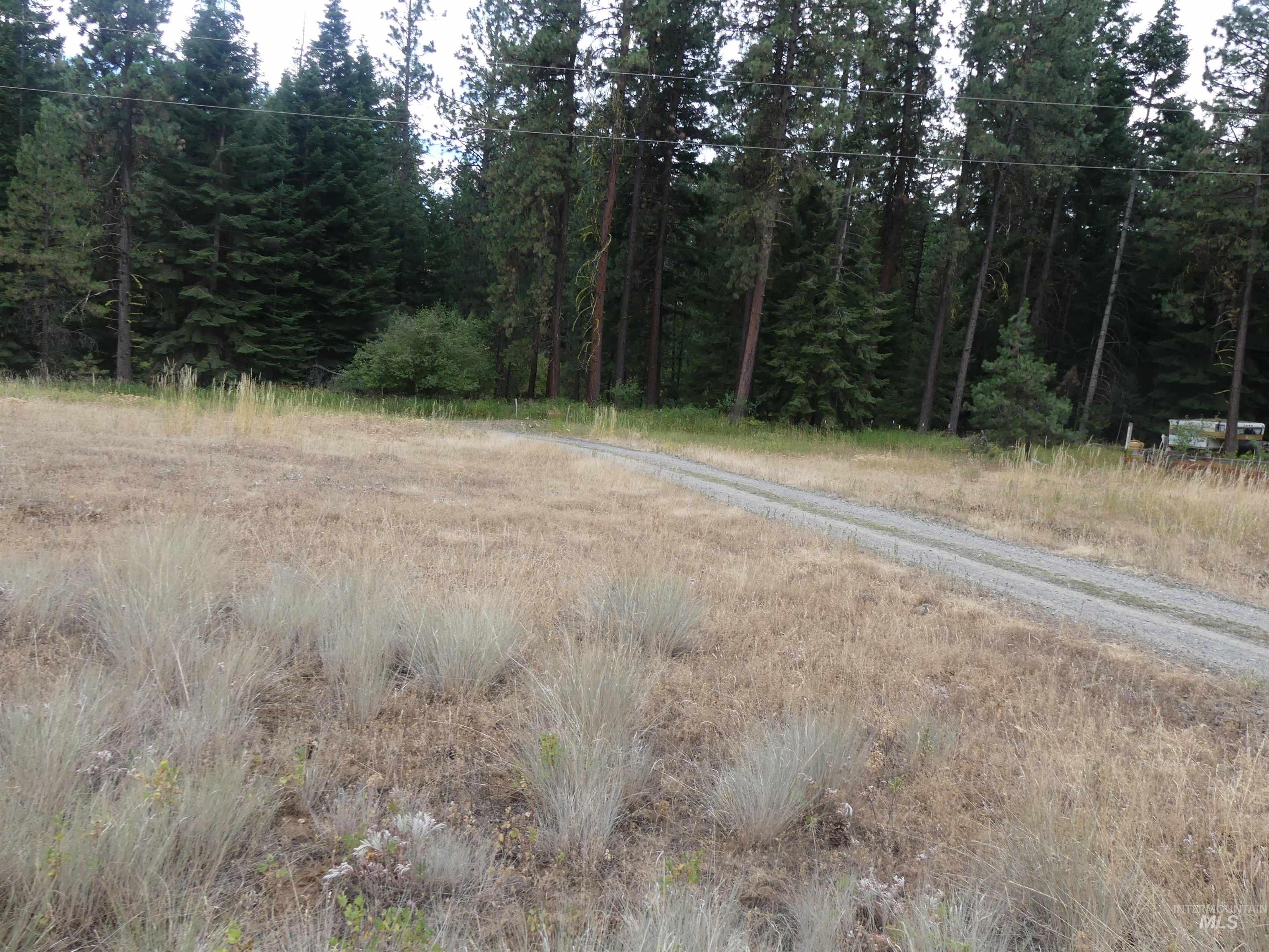 309 Wildrose Ln, Anatone, Washington 99401, 1 Bedroom, 1 Bathroom, Residential For Sale, Price $140,000, 98931570