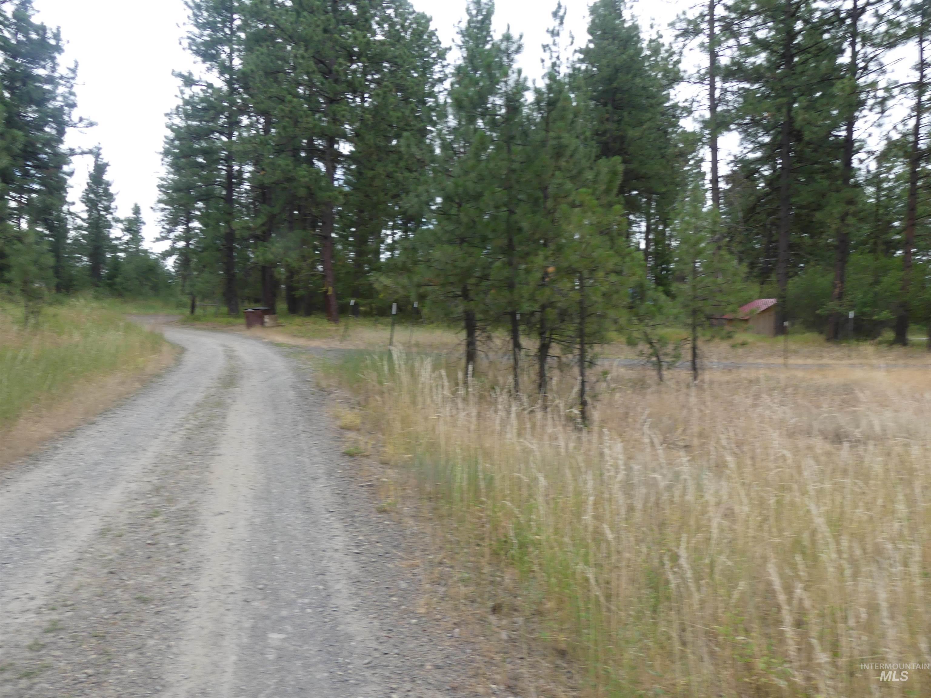309 Wildrose Ln, Anatone, Washington 99401, 1 Bedroom, 1 Bathroom, Residential For Sale, Price $140,000, 98931570