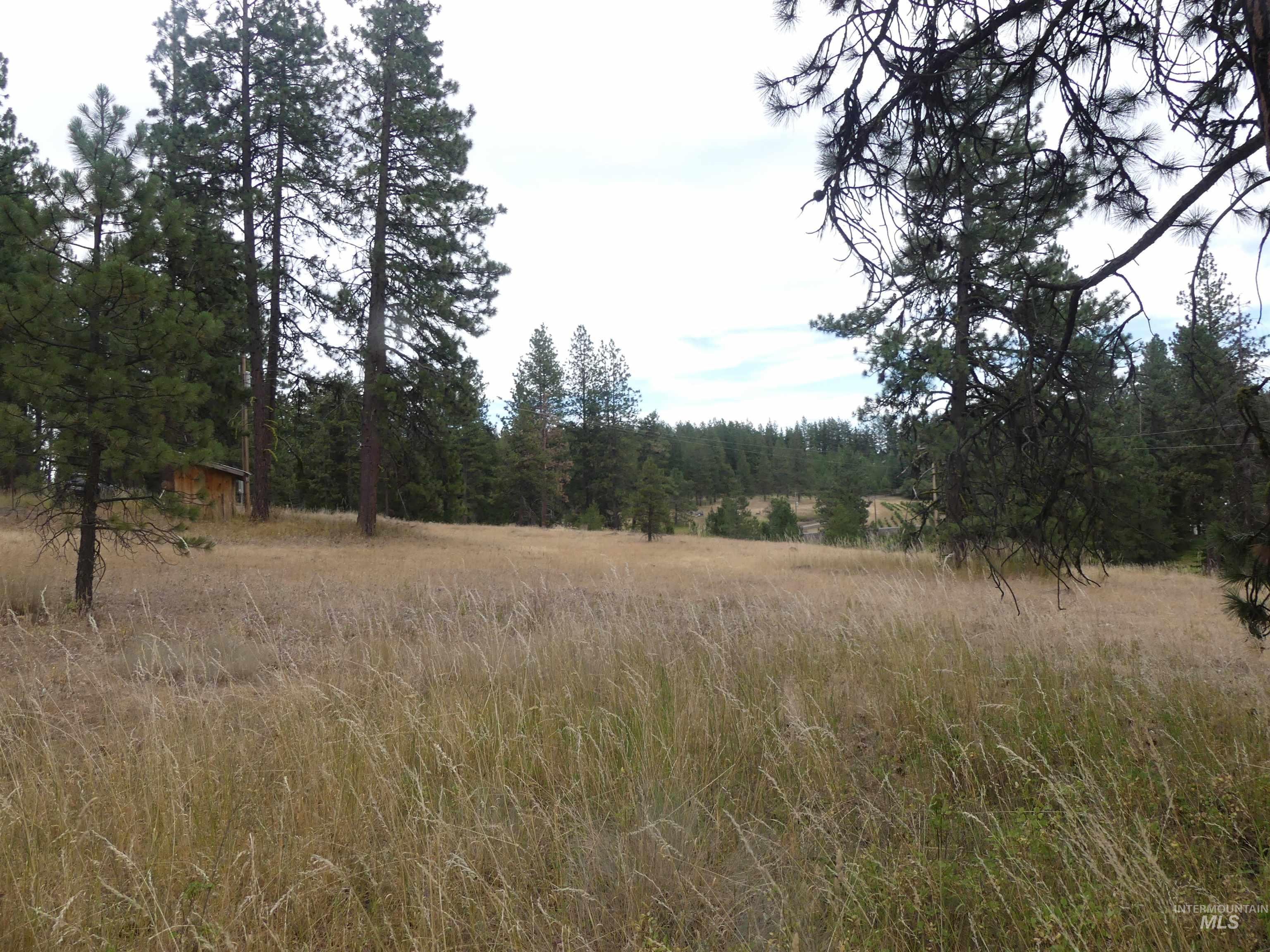 309 Wildrose Ln, Anatone, Washington 99401, 1 Bedroom, 1 Bathroom, Residential For Sale, Price $140,000, 98931570