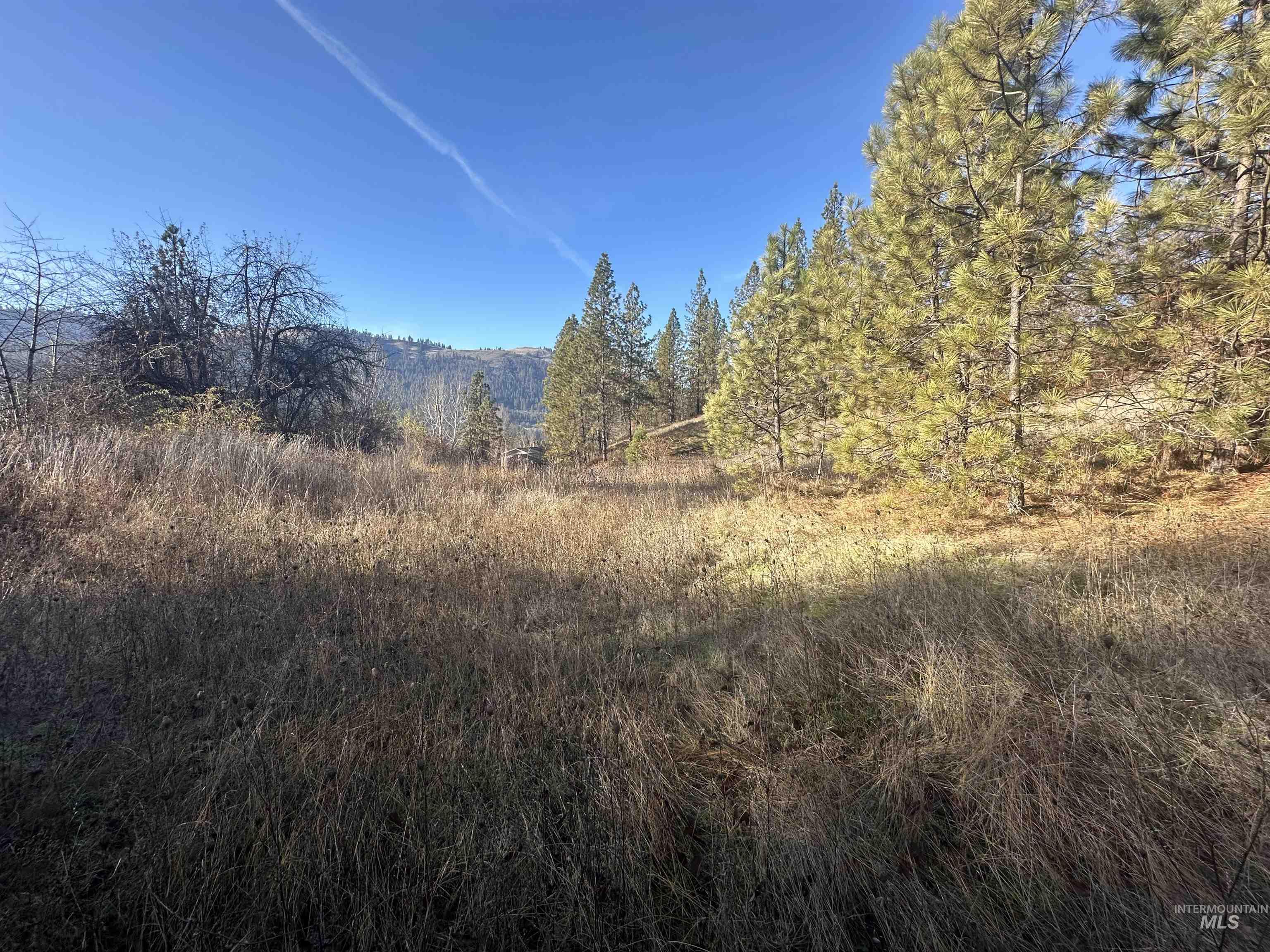 lots 12, 13, 14 Valley View, Kamiah, Idaho 83536, Land For Sale, Price $80,000,MLS 98931578