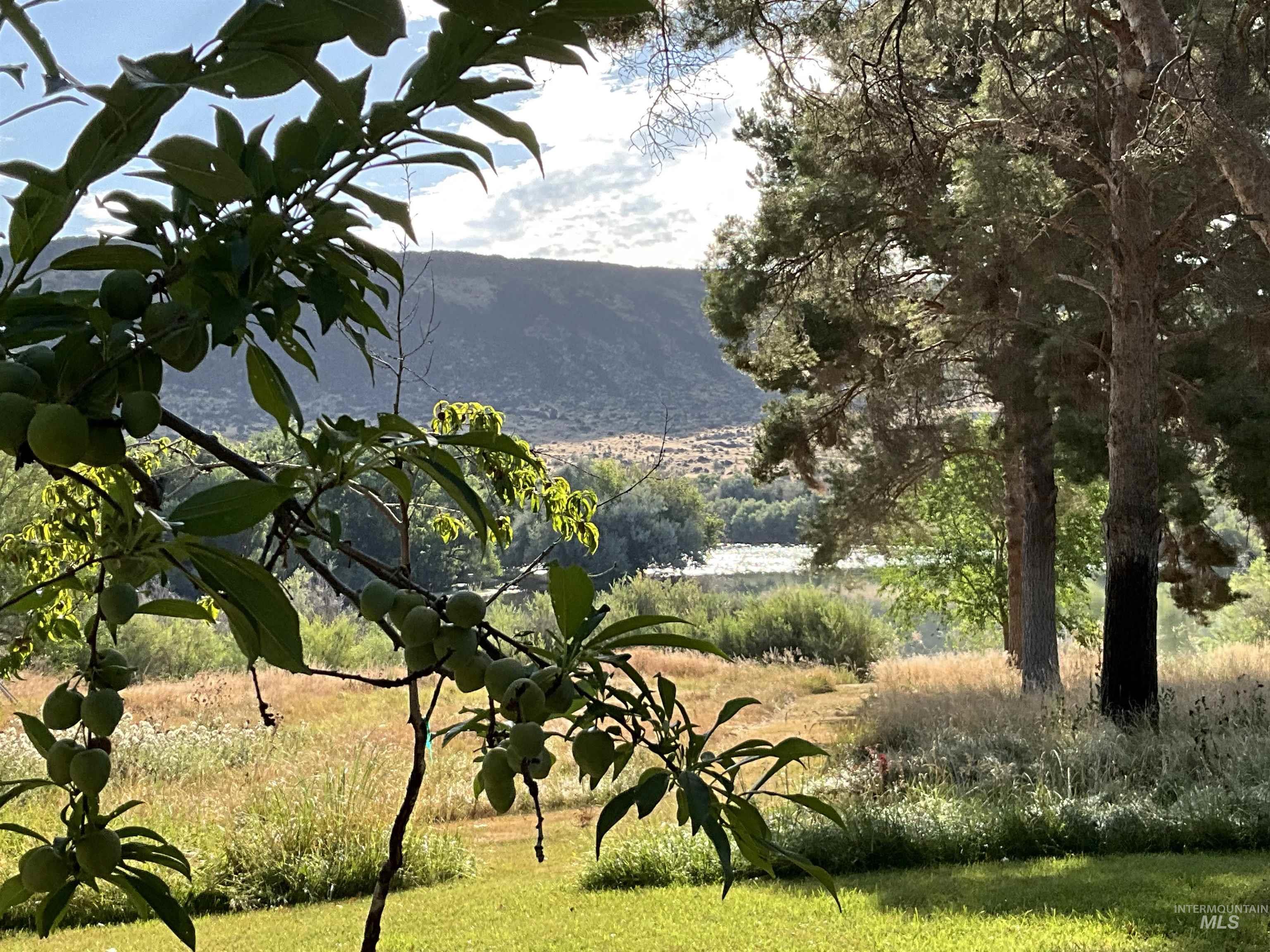 4778 River Road, Buhl, Idaho 83316, 2 Bedrooms, 1 Bathroom, Residential For Sale, Price $1,400,000, 98931714