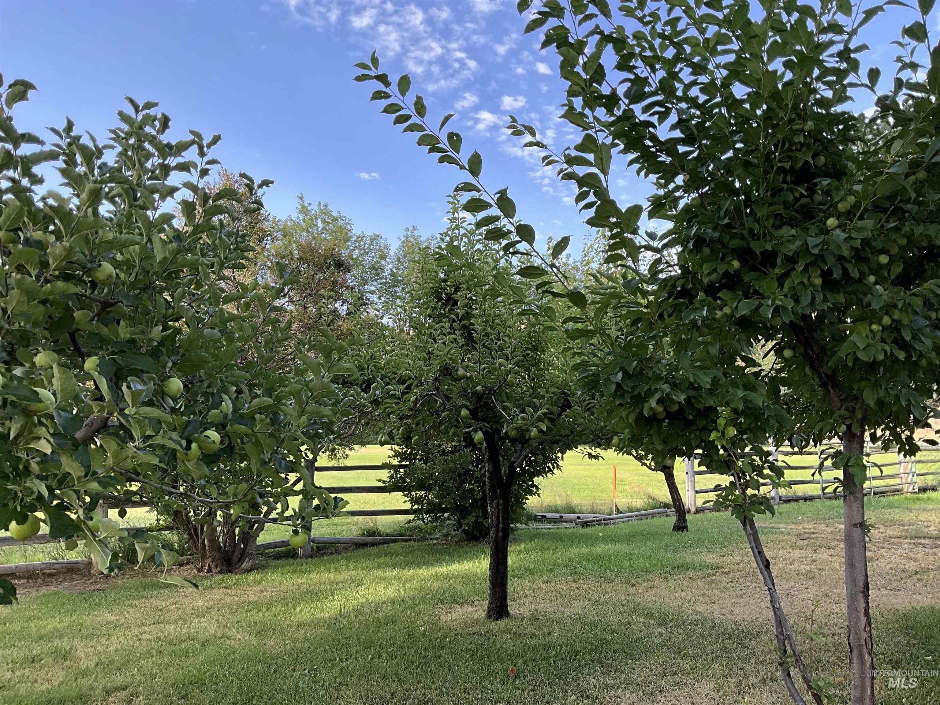 4778 River Road, Buhl, Idaho 83316, 2 Bedrooms, 1 Bathroom, Residential For Sale, Price $1,400,000, 98931714