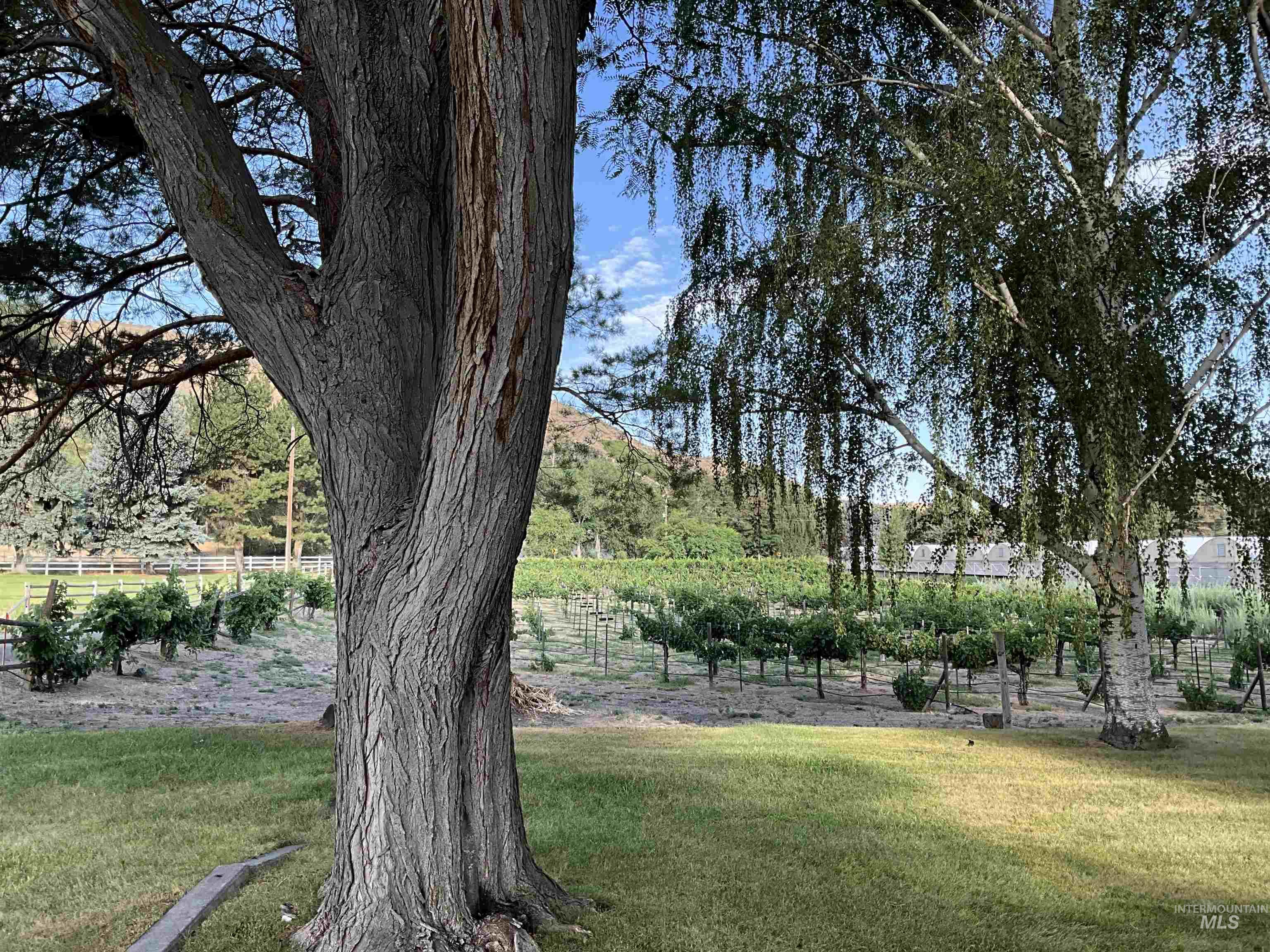 4778 River Road, Buhl, Idaho 83316, 2 Bedrooms, 1 Bathroom, Residential For Sale, Price $1,400,000, 98931714