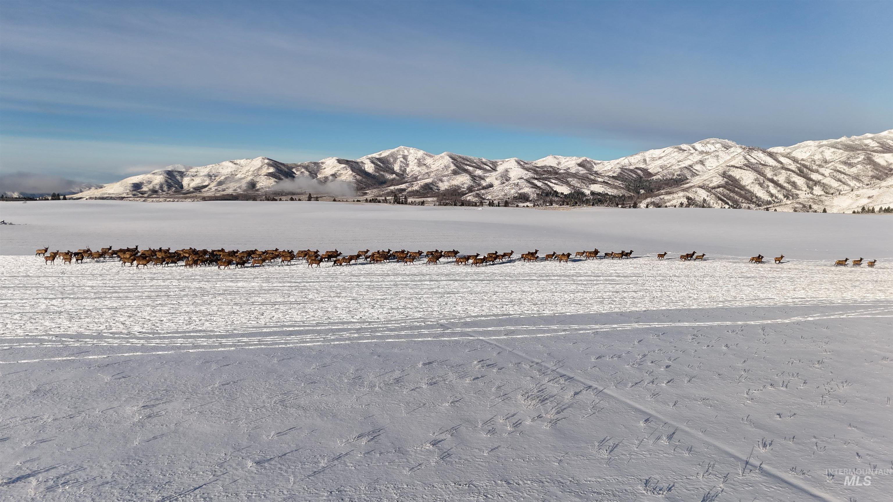 NE Little Camas Reservoir Road, Mountain Home, Idaho 83647, 3 Bedrooms, 2 Bathrooms, Farm & Ranch For Sale, Price $25,000,000, 98931946