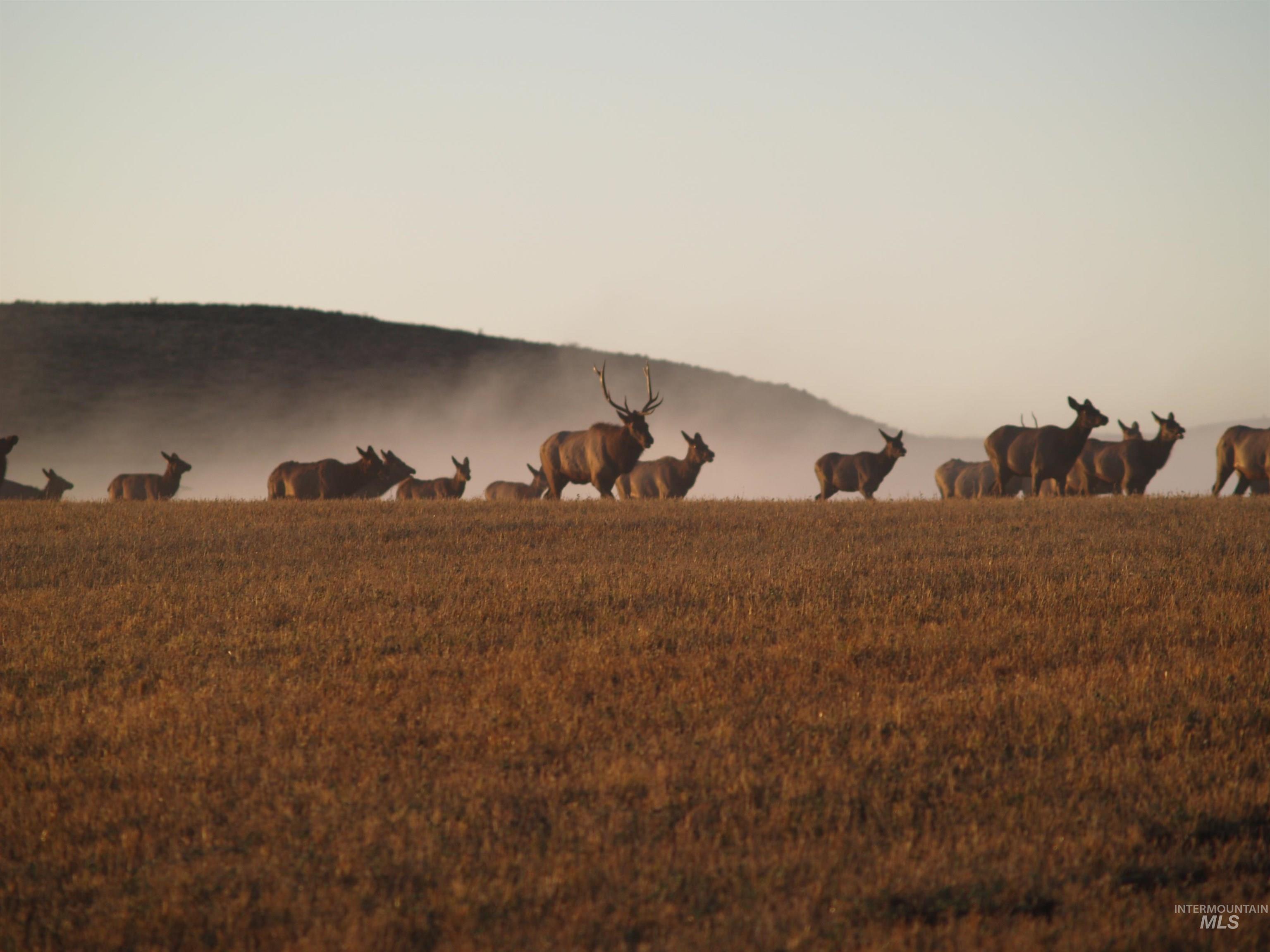 NE Little Camas Reservoir Road, Mountain Home, Idaho 83647, 3 Bedrooms, 2 Bathrooms, Farm & Ranch For Sale, Price $25,000,000, 98931946