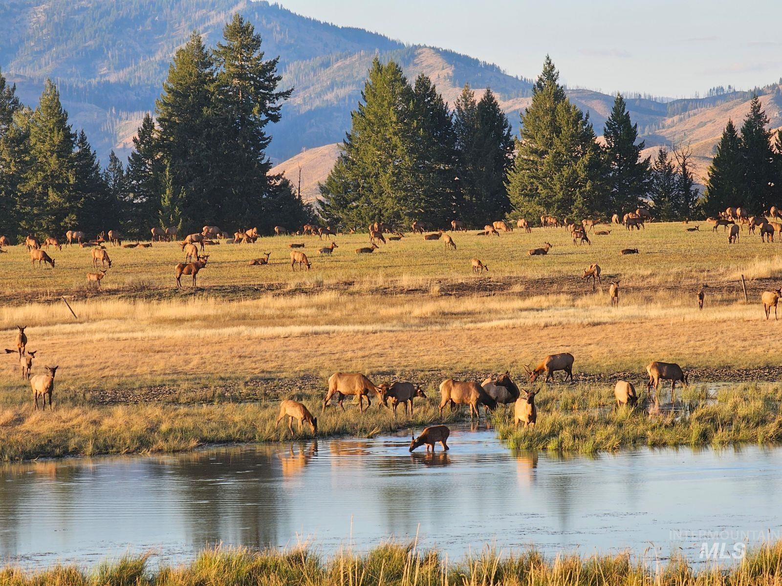NE Little Camas Reservoir Road, Mountain Home, Idaho 83647, 3 Bedrooms, 2 Bathrooms, Farm & Ranch For Sale, Price $25,000,000, 98931946