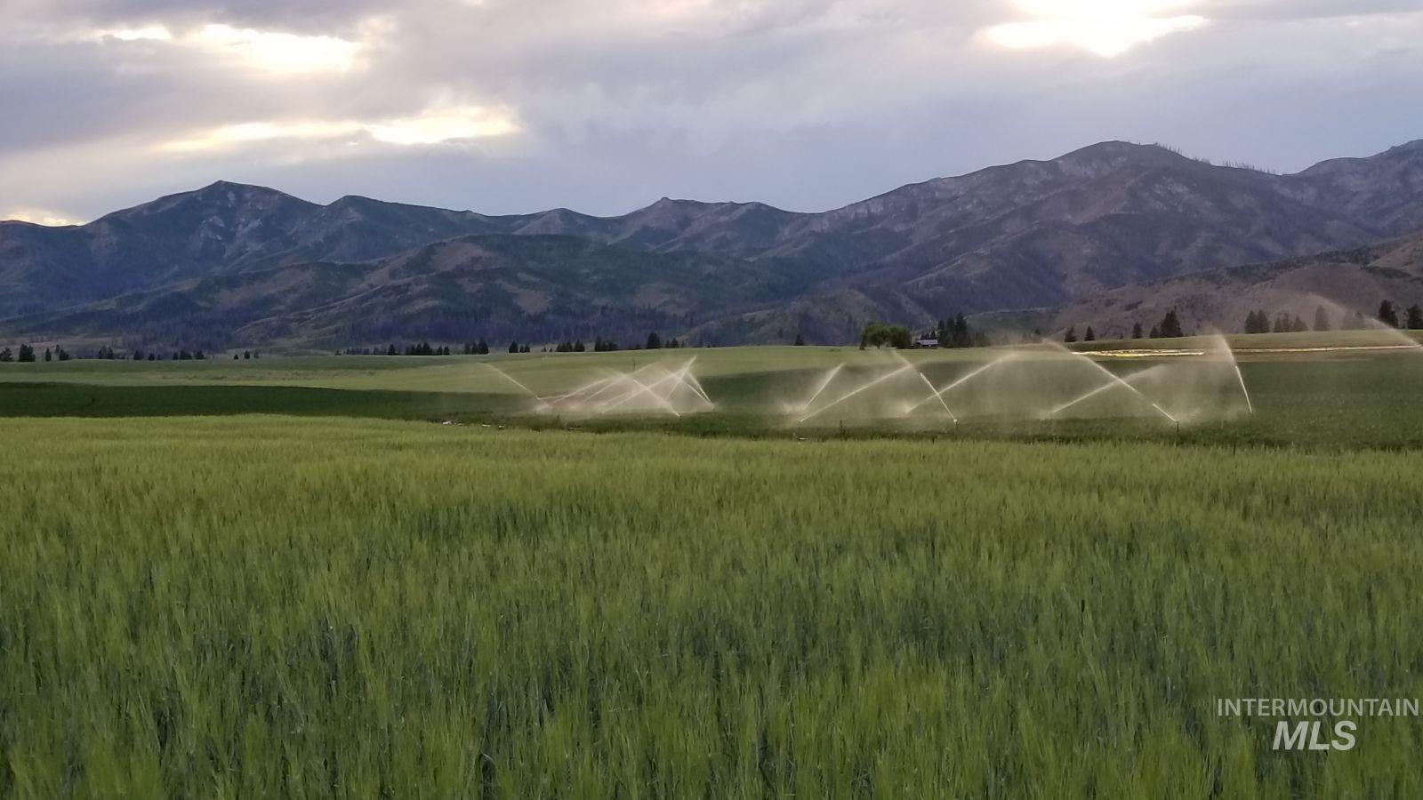 NE Little Camas Reservoir Road, Mountain Home, Idaho 83647, 3 Bedrooms, 2 Bathrooms, Farm & Ranch For Sale, Price $25,000,000, 98931946