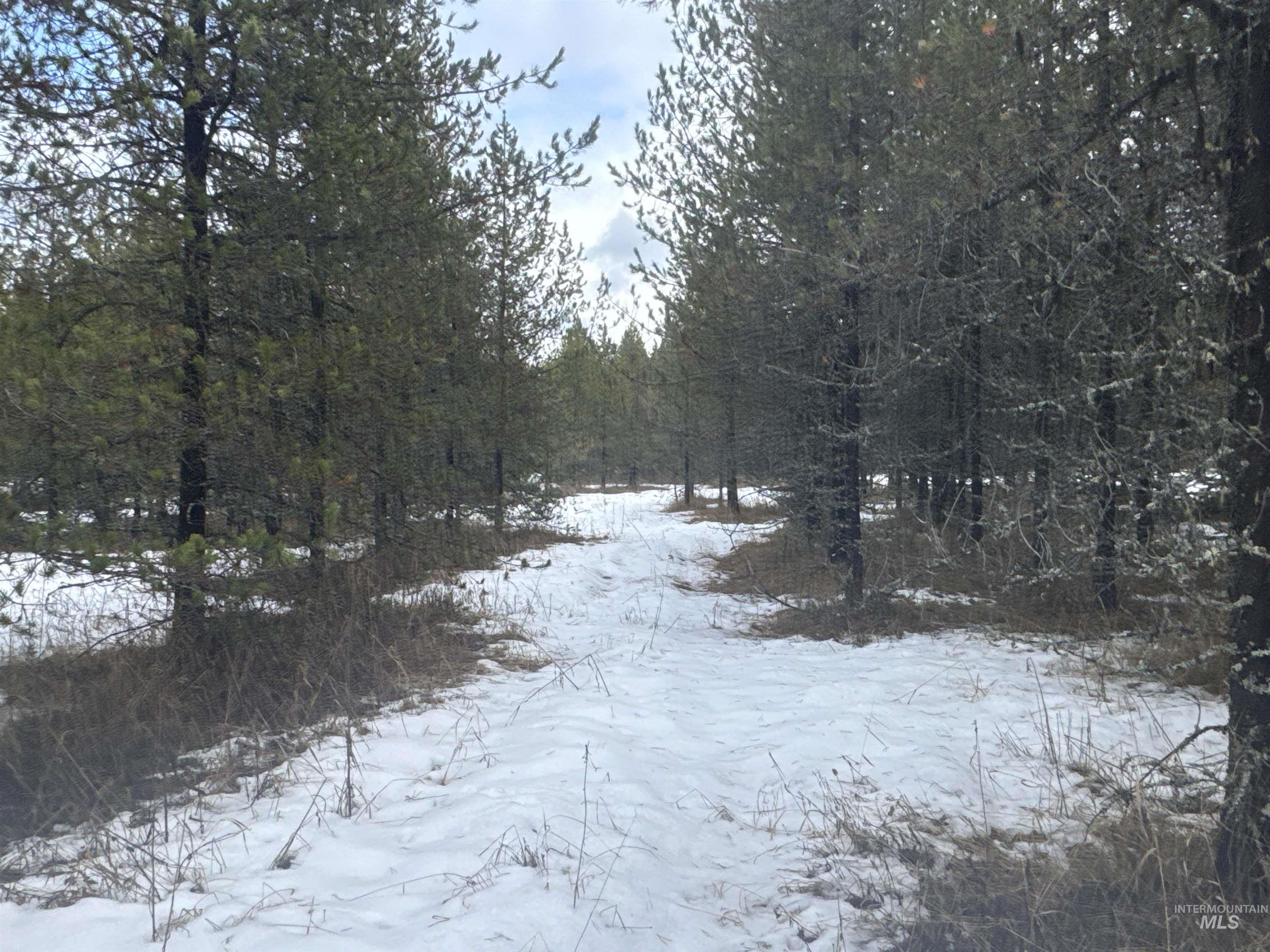 Parcel 19 Band Mill Loop Rd, Orofino, Idaho 83544, Land For Sale, Price $229,750,MLS 98932161