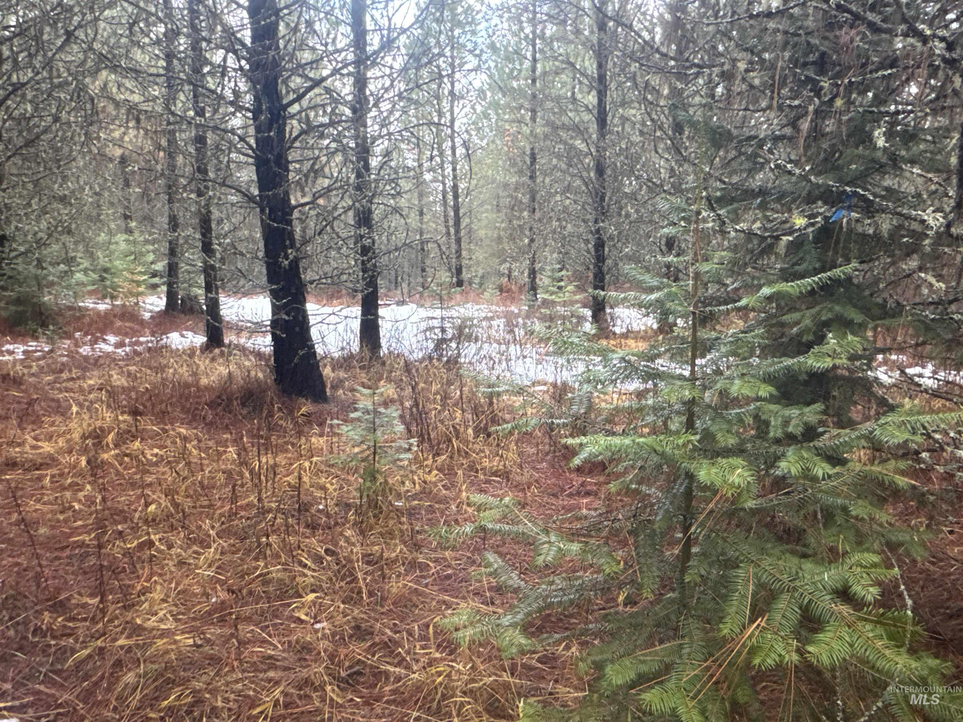 Parcel 19 Band Mill Loop Rd, Orofino, Idaho 83544, Land For Sale, Price $229,750,MLS 98932161