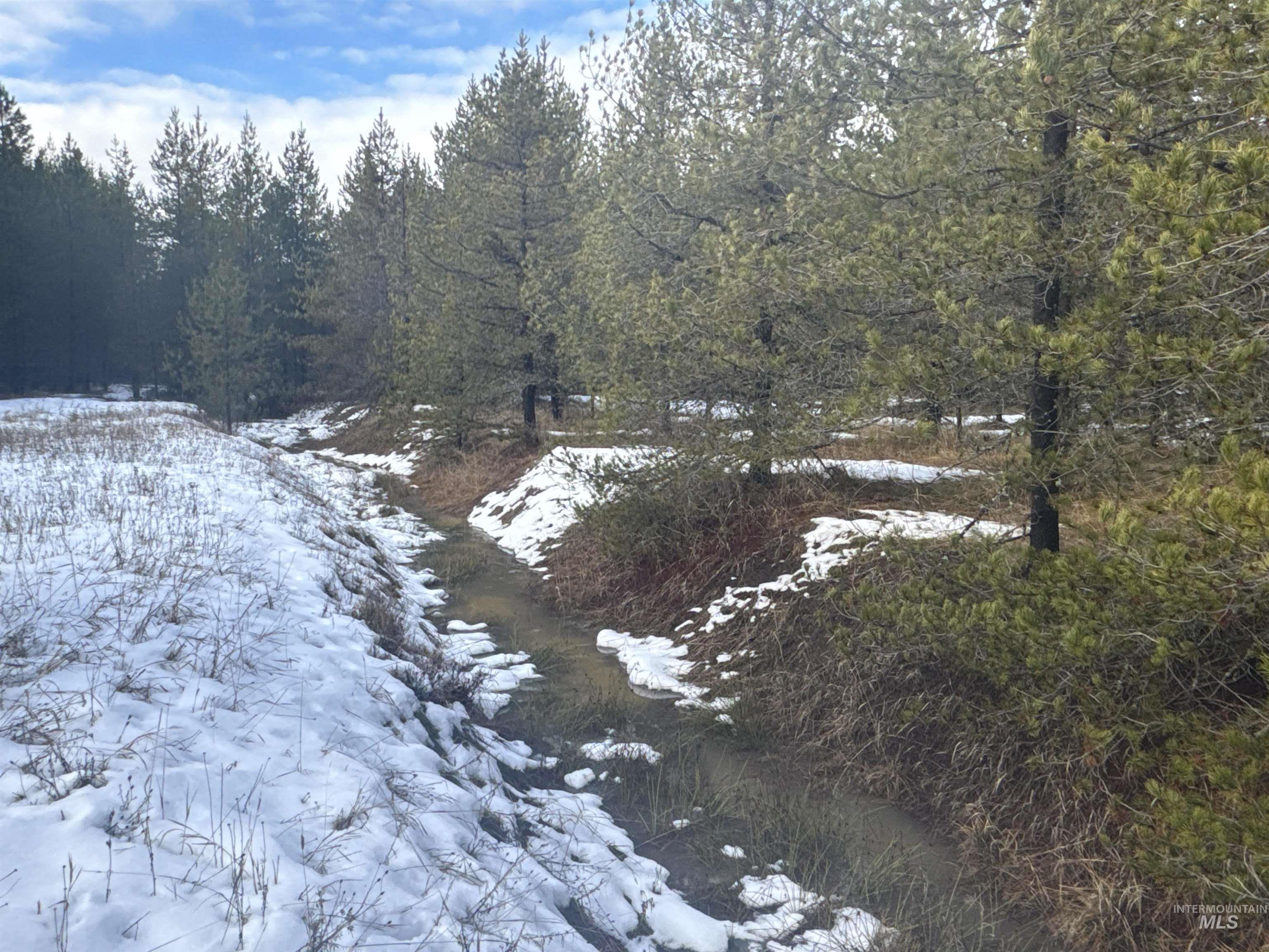 Parcel 19 Band Mill Loop Rd, Orofino, Idaho 83544, Land For Sale, Price $229,750,MLS 98932161