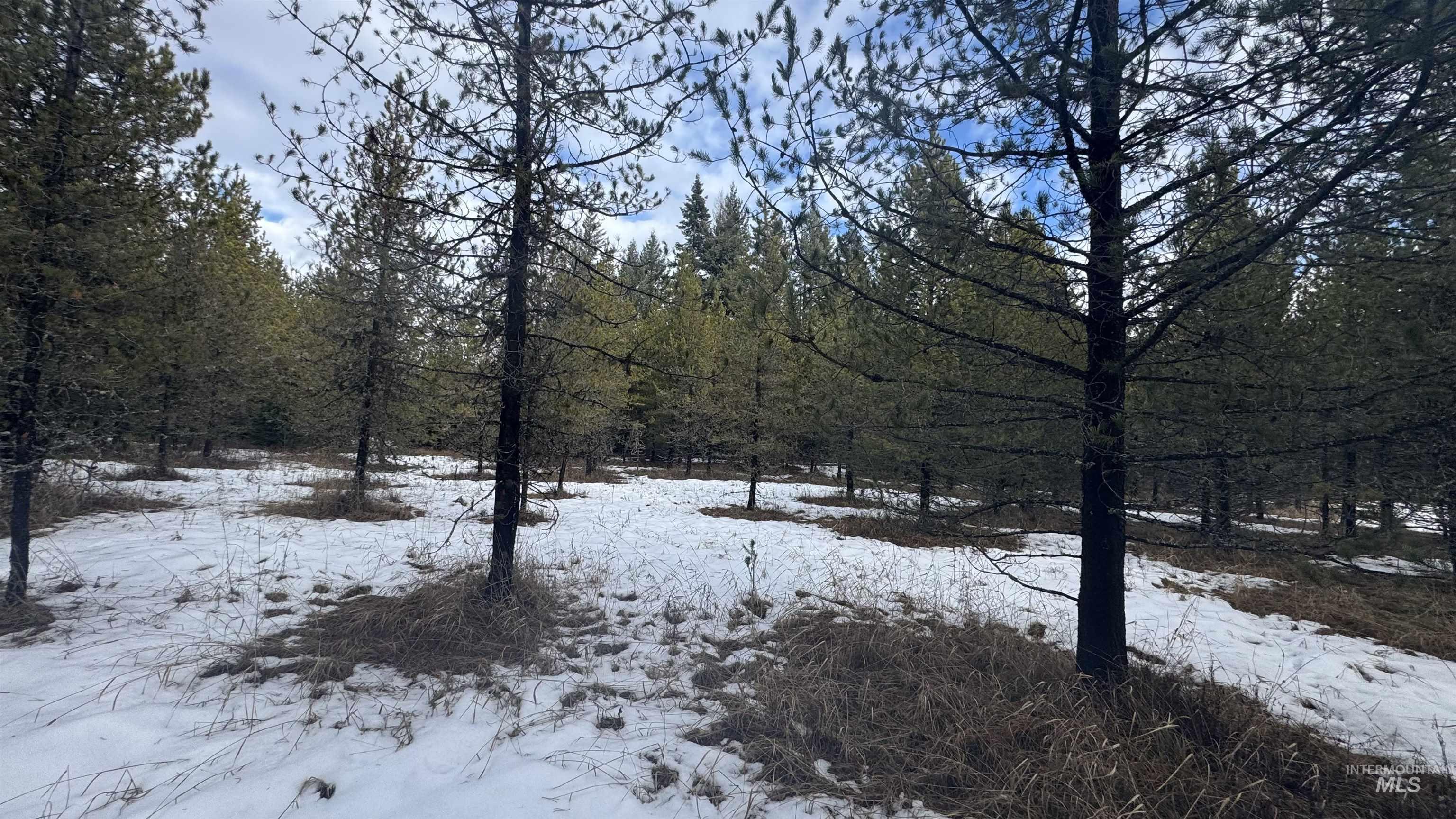 Parcel 19 Band Mill Loop Rd, Orofino, Idaho 83544, Land For Sale, Price $229,750,MLS 98932161