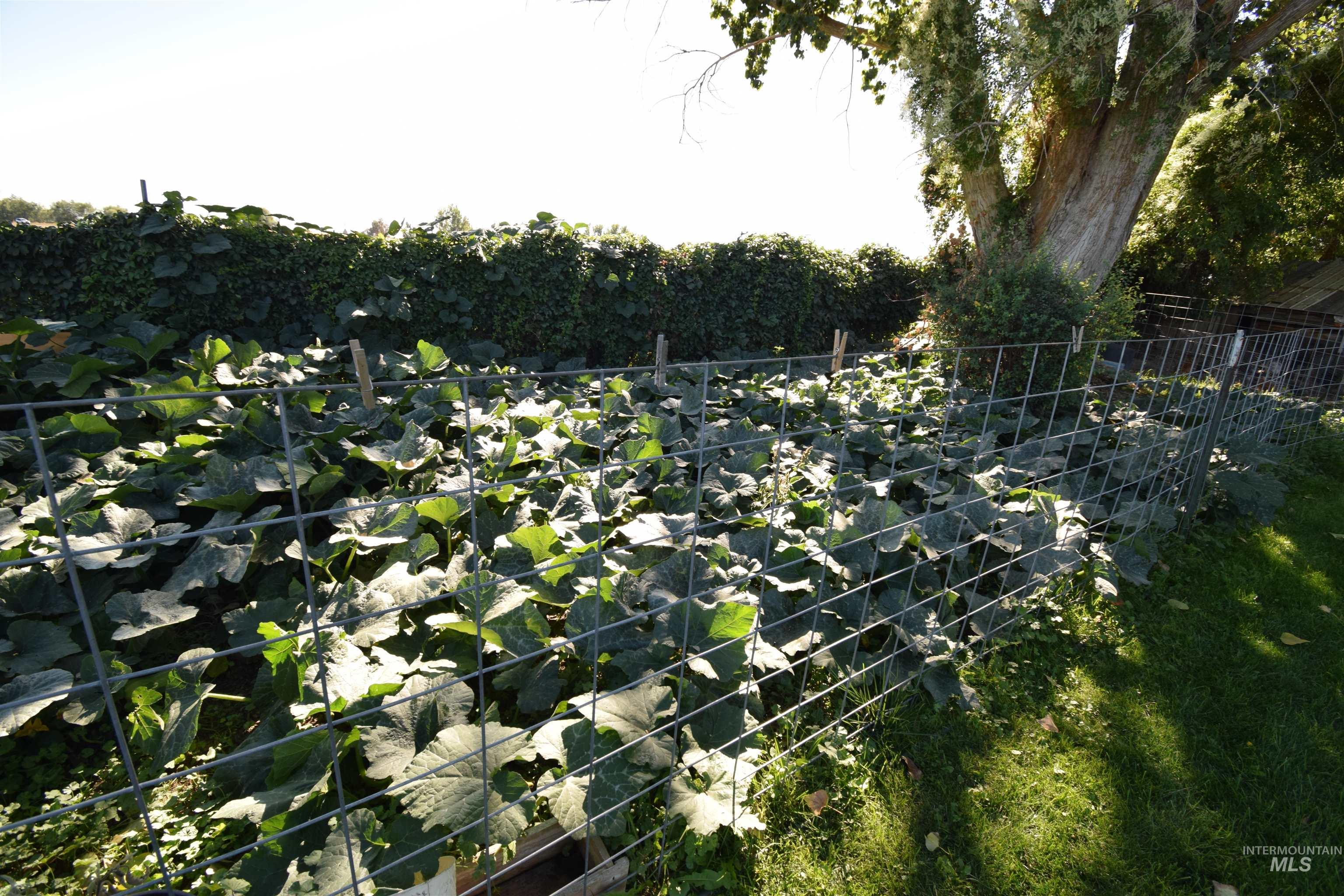 518 US Highway 95, Weiser, Idaho 83672, 3 Bedrooms, 2 Bathrooms, Residential For Sale, Price $425,000,MLS 98932170