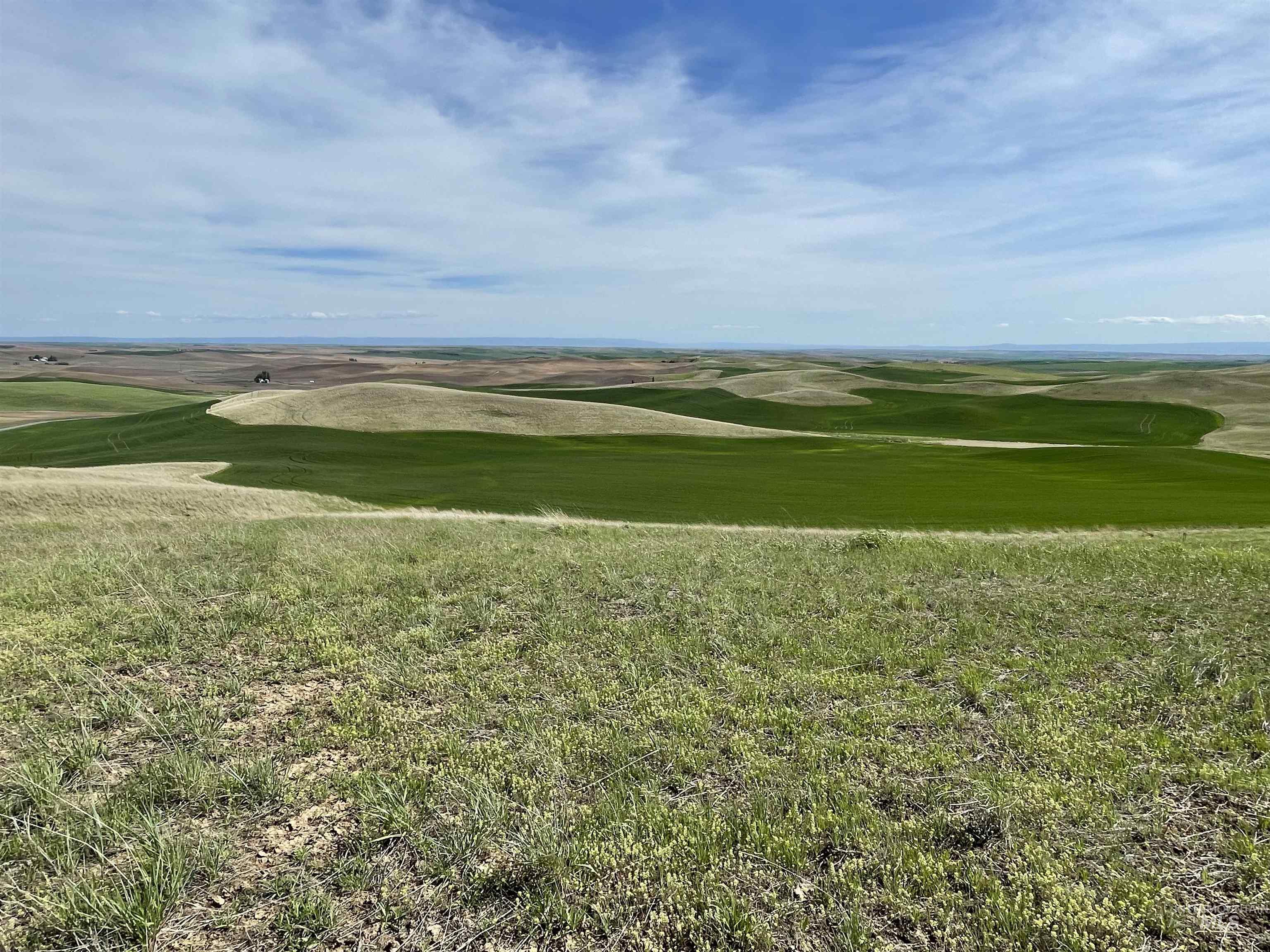 NKA Jacksha, Moscow, Idaho 83843, Land For Sale, Price $324,000,MLS 98932196