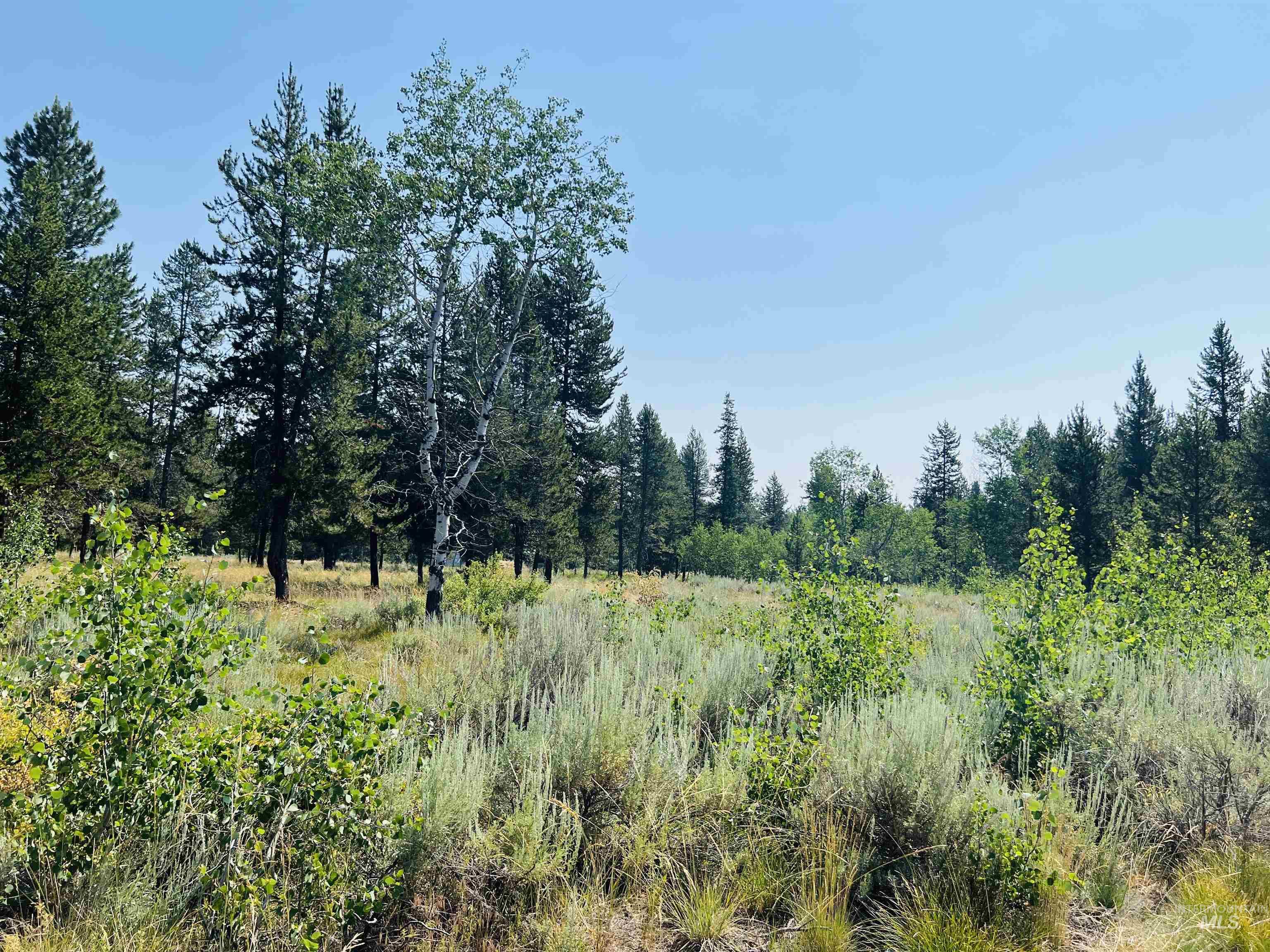 Lot 6 Coy Road, McCall, Idaho 83638, Land For Sale, Price $249,900,MLS 98932213