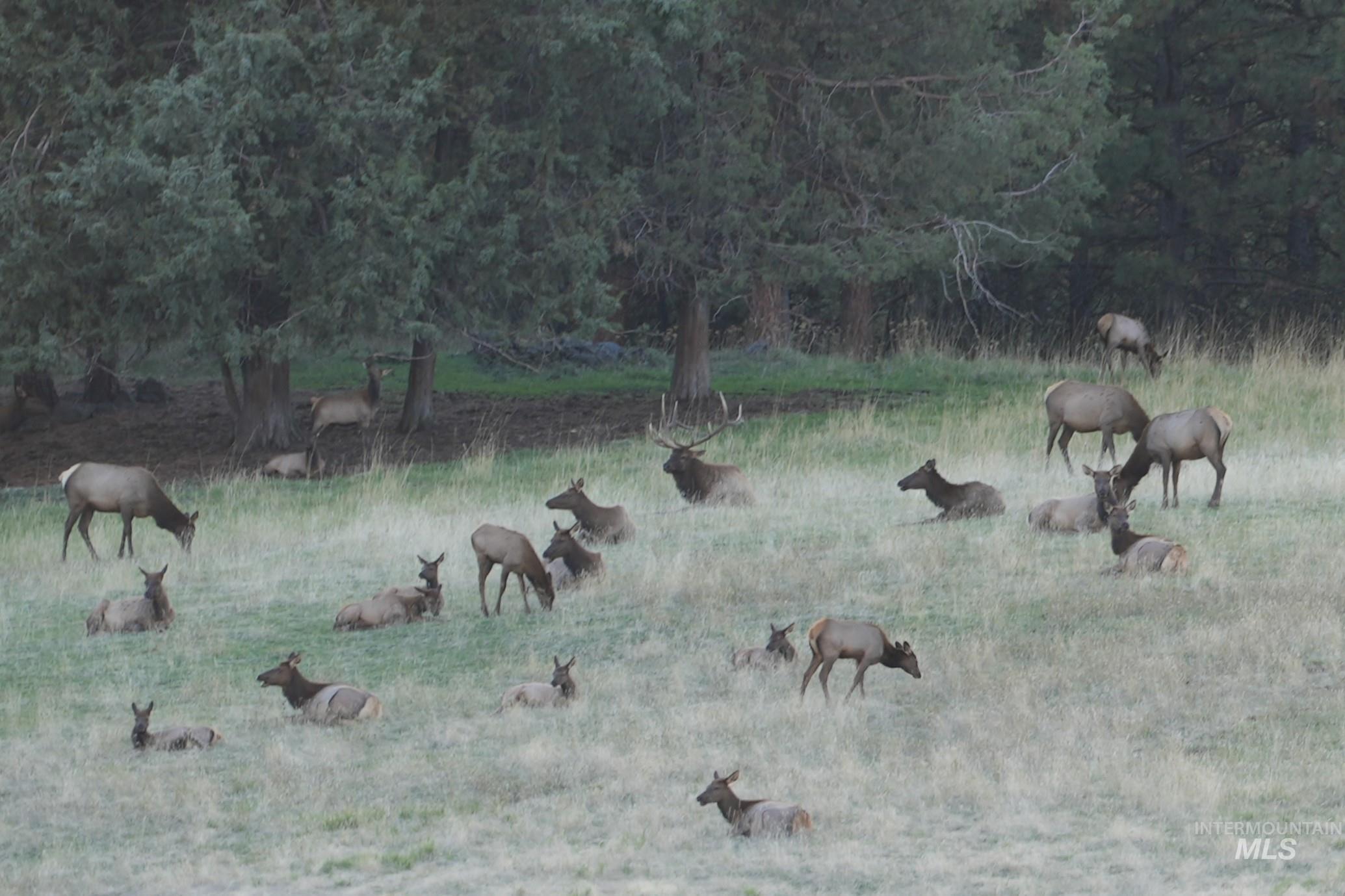 84658 Troy Rd., Wallowa, Oregon 97885, 3 Bedrooms, 2 Bathrooms, Farm & Ranch For Sale, Price $19,800,000, 98932366