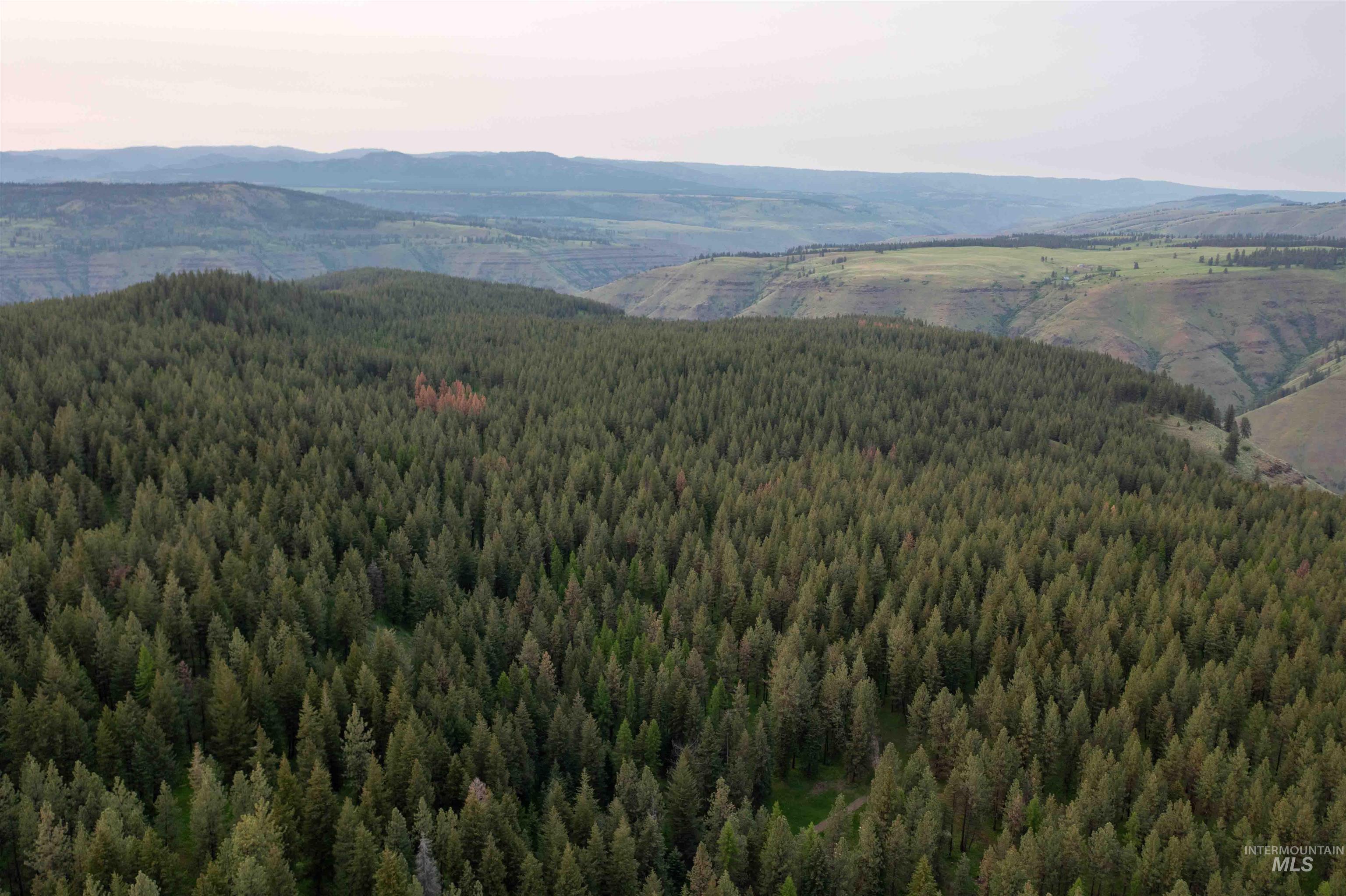 84658 Troy Rd., Wallowa, Oregon 97885, 3 Bedrooms, 2 Bathrooms, Farm & Ranch For Sale, Price $19,800,000, 98932366