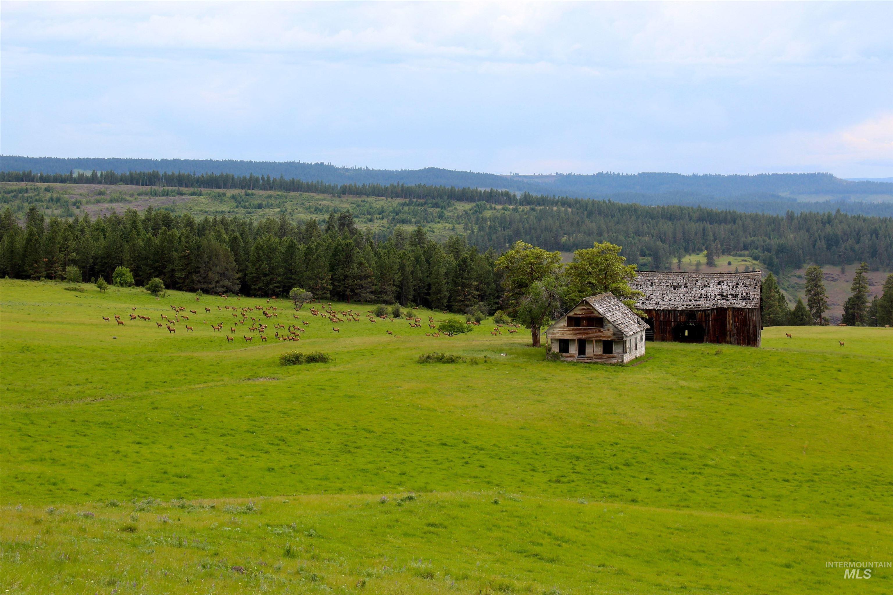 84658 Troy Rd., Wallowa, Oregon 97885, 3 Bedrooms, 2 Bathrooms, Farm & Ranch For Sale, Price $19,800,000, 98932366