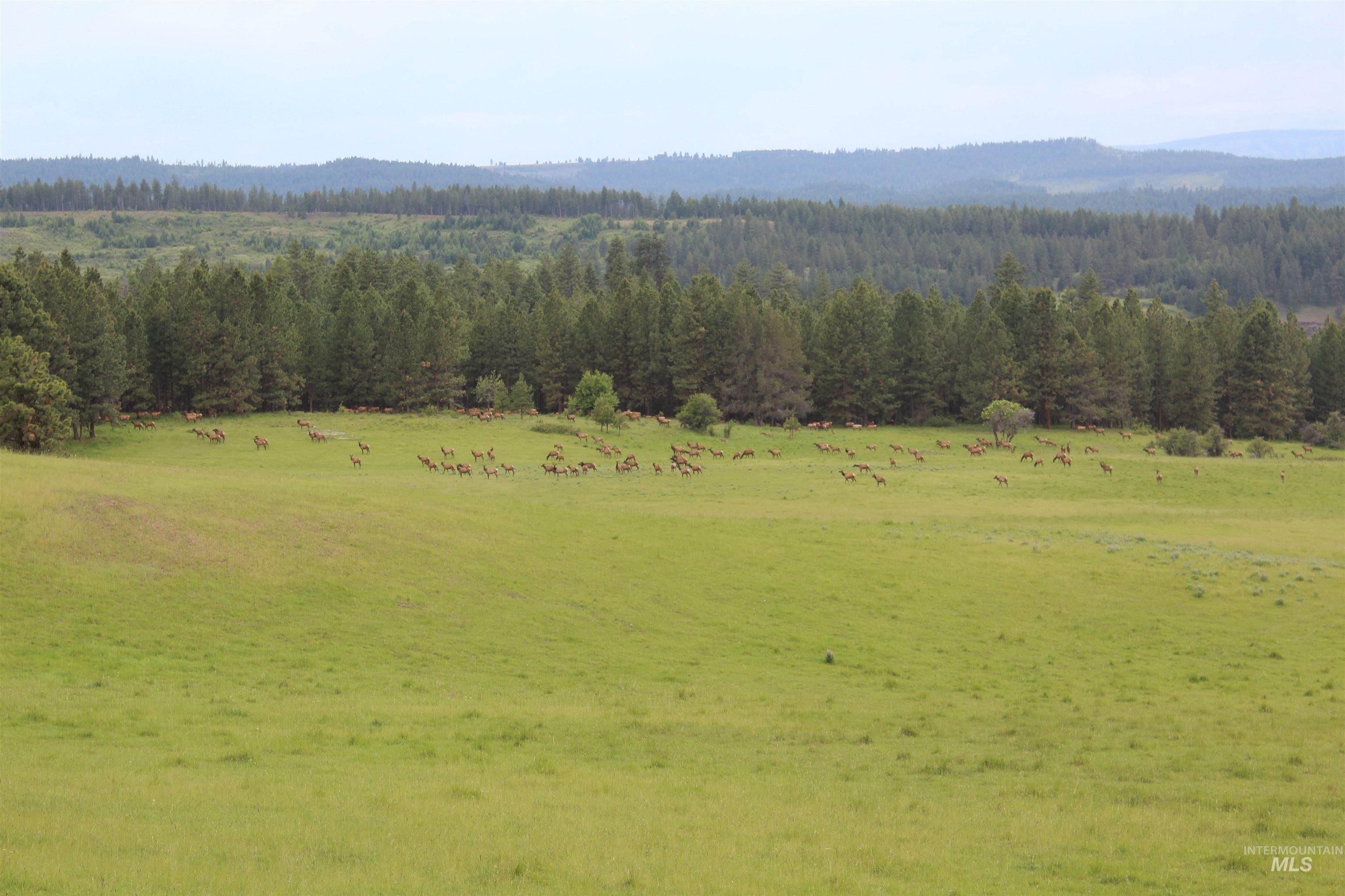 84658 Troy Rd., Wallowa, Oregon 97885, 3 Bedrooms, 2 Bathrooms, Farm & Ranch For Sale, Price $19,800,000, 98932366