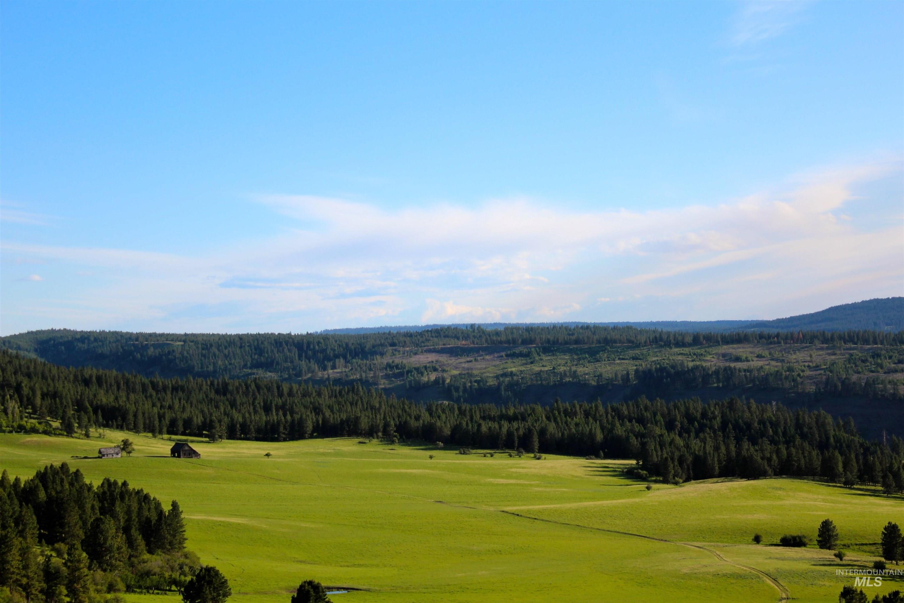 84658 Troy Rd., Wallowa, Oregon 97885, 3 Bedrooms, 2 Bathrooms, Farm & Ranch For Sale, Price $19,800,000, 98932366