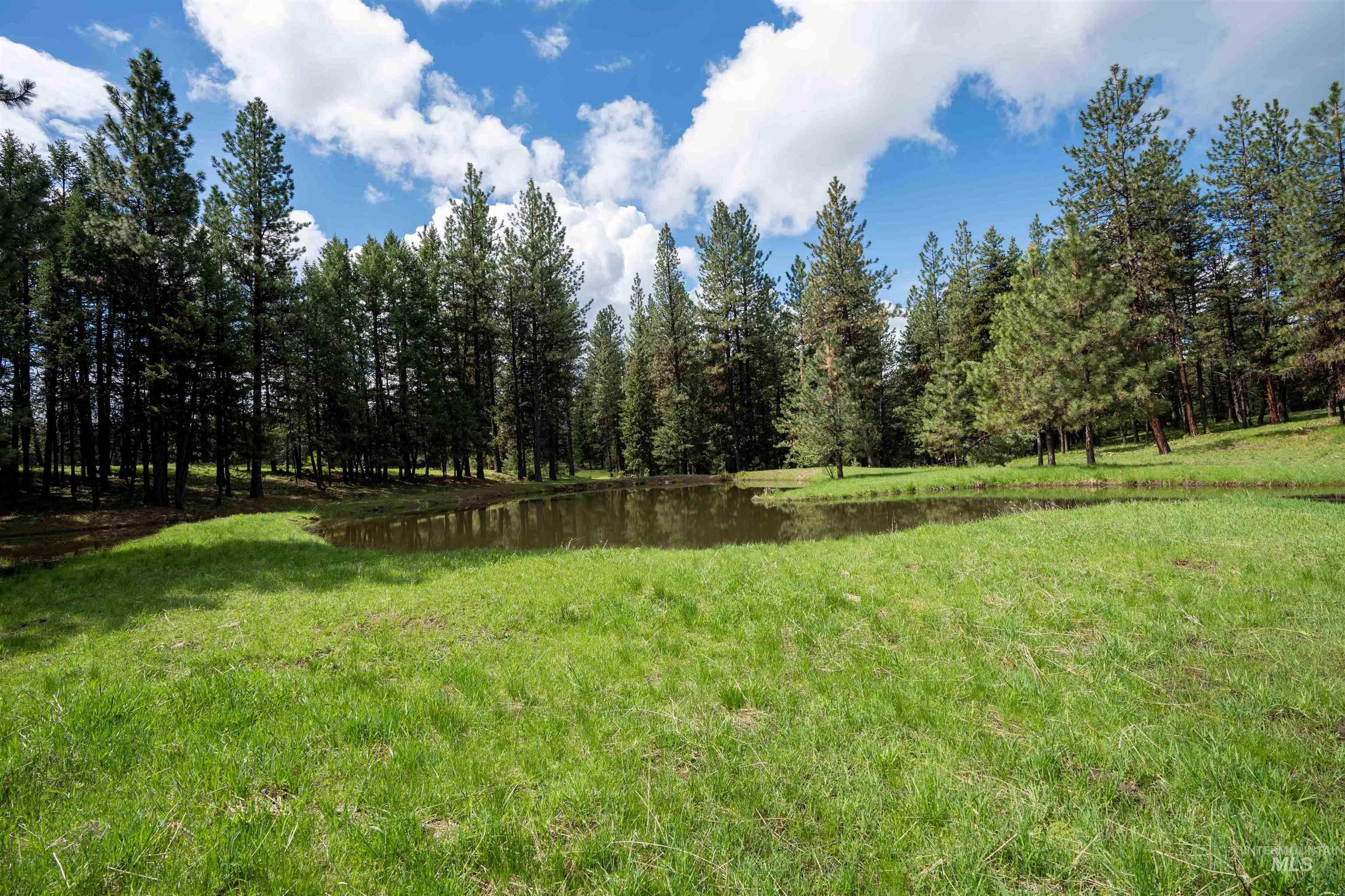 84658 Troy Rd., Wallowa, Oregon 97885, 3 Bedrooms, 2 Bathrooms, Farm & Ranch For Sale, Price $19,800,000, 98932366