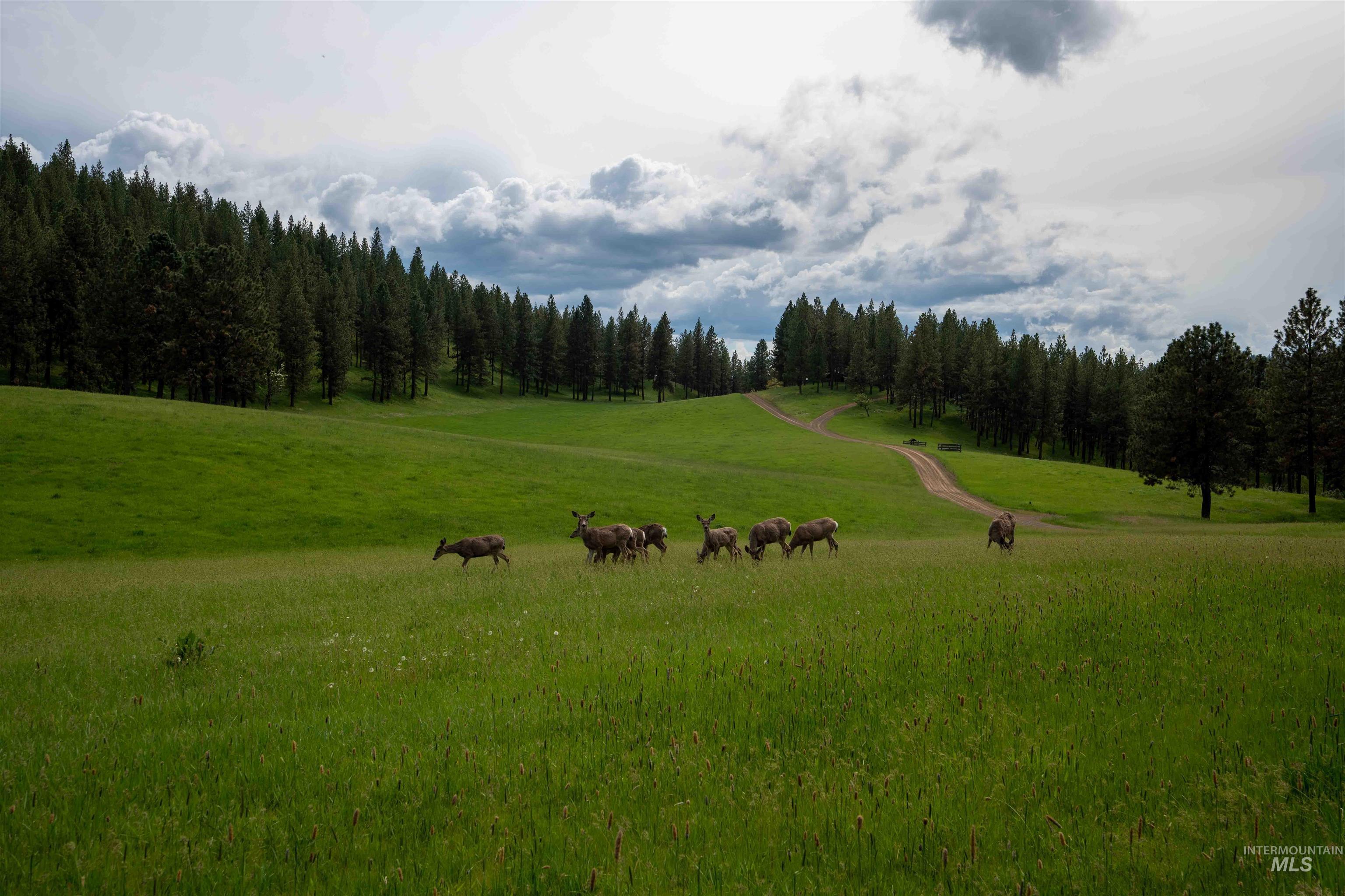 84658 Troy Rd., Wallowa, Oregon 97885, 3 Bedrooms, 2 Bathrooms, Farm & Ranch For Sale, Price $19,800,000, 98932366