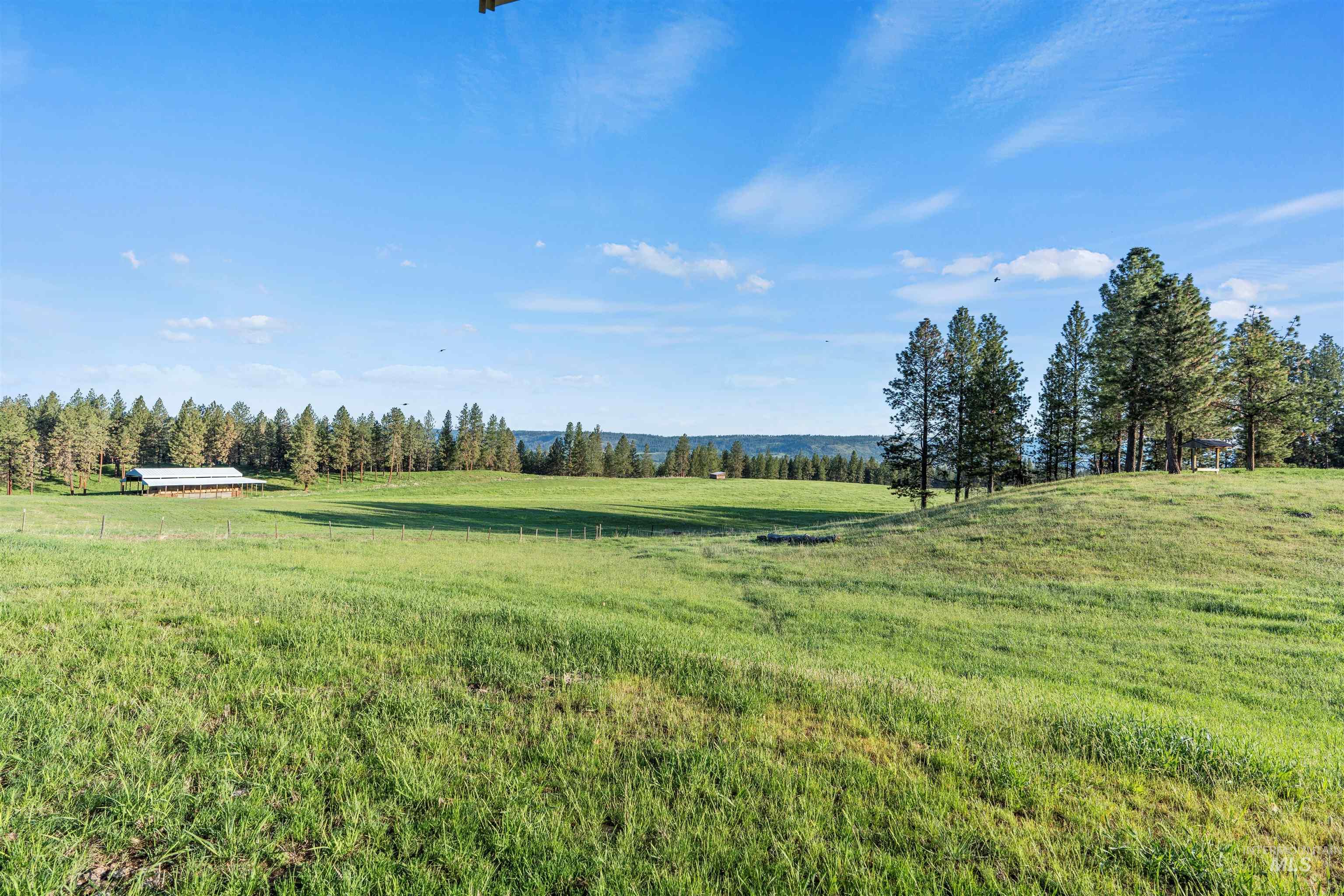 84658 Troy Rd., Wallowa, Oregon 97885, 3 Bedrooms, 2 Bathrooms, Farm & Ranch For Sale, Price $19,800,000, 98932366