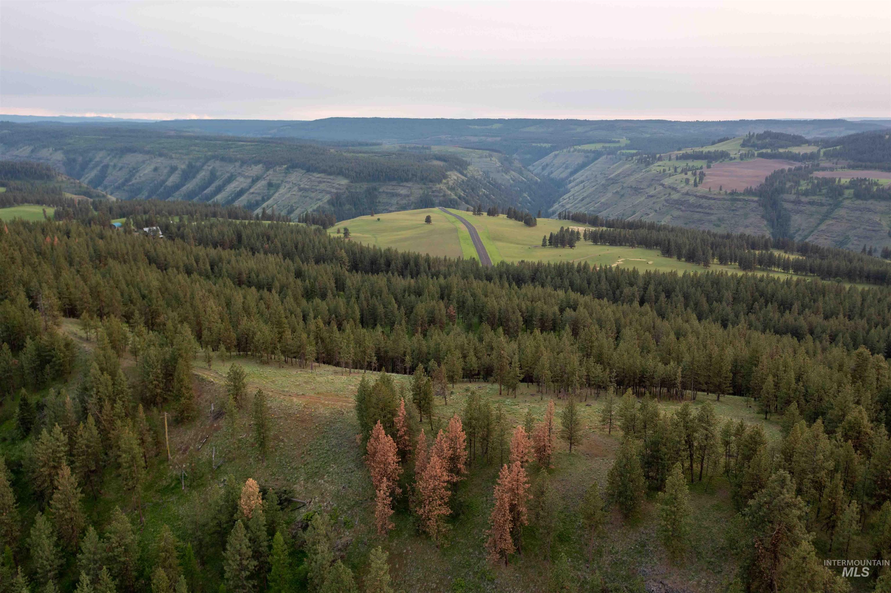 84658 Troy Rd., Wallowa, Oregon 97885, 3 Bedrooms, 2 Bathrooms, Farm & Ranch For Sale, Price $19,800,000, 98932366