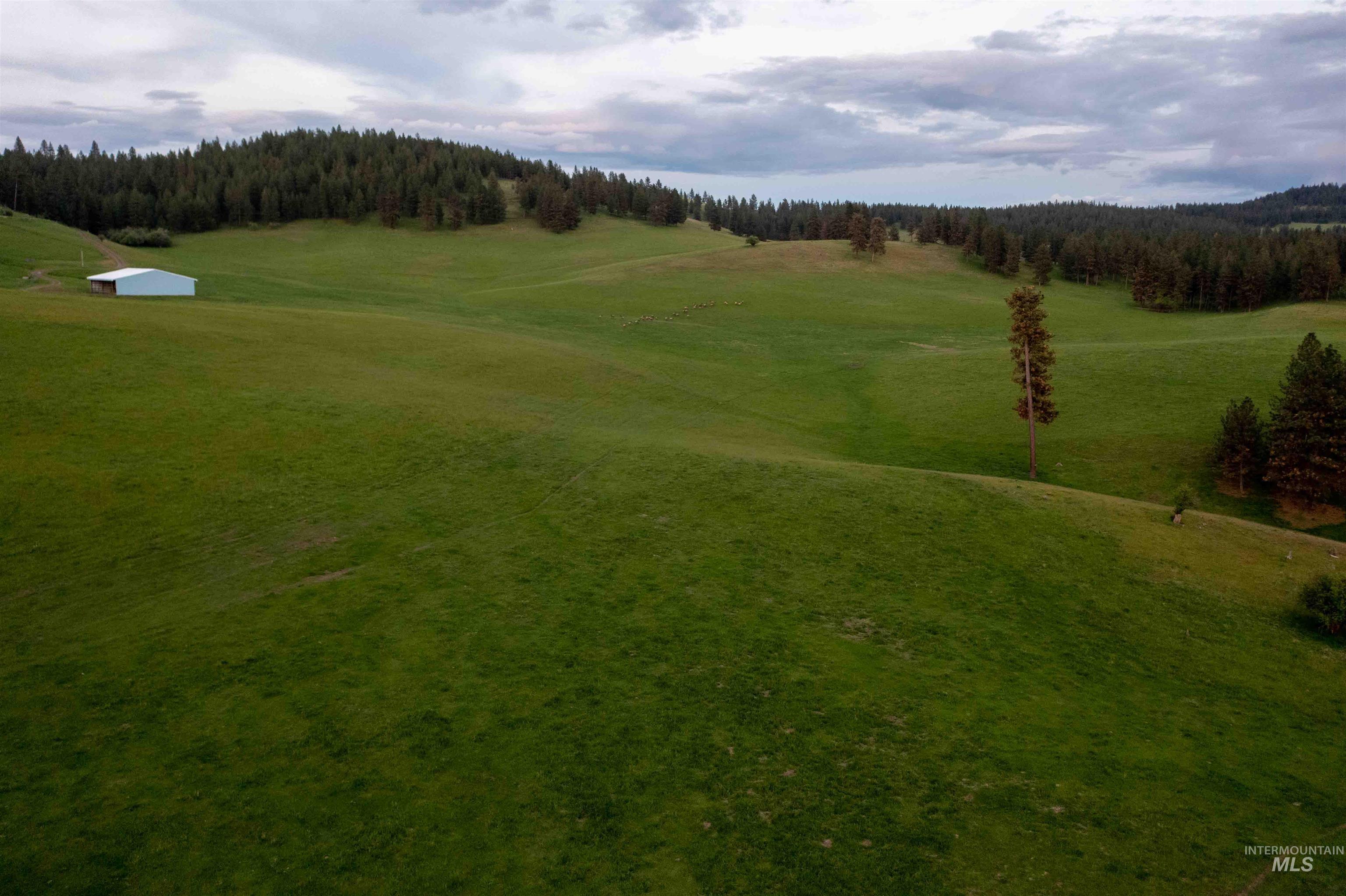 84658 Troy Rd., Wallowa, Oregon 97885, 3 Bedrooms, 2 Bathrooms, Farm & Ranch For Sale, Price $19,800,000, 98932366